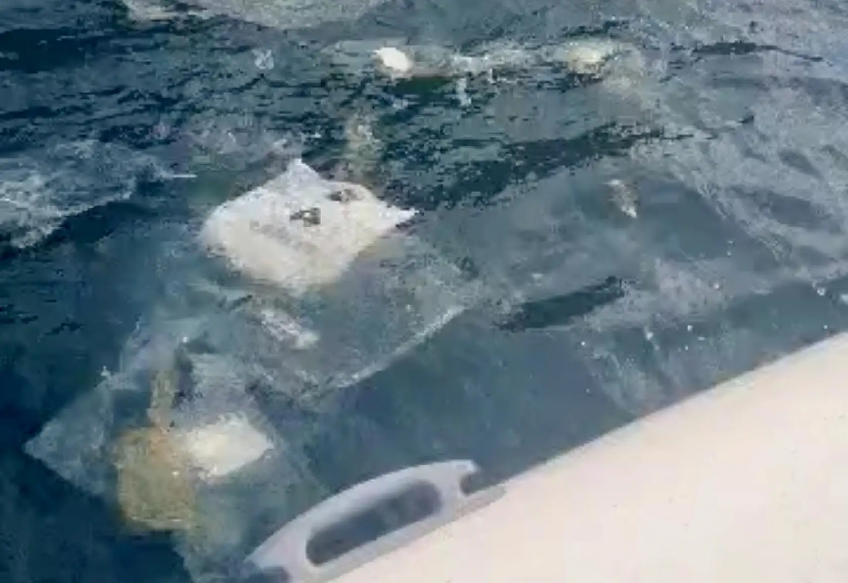 Amasra'da tepki çeken kirlilik