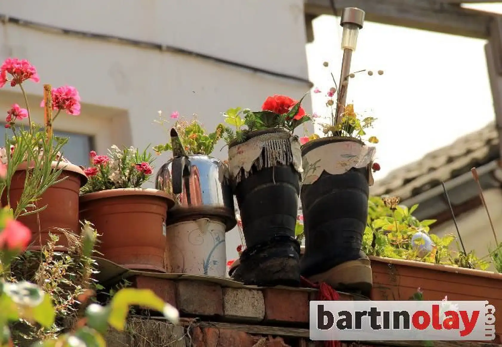 Dünyanın en ilginç bahçesi