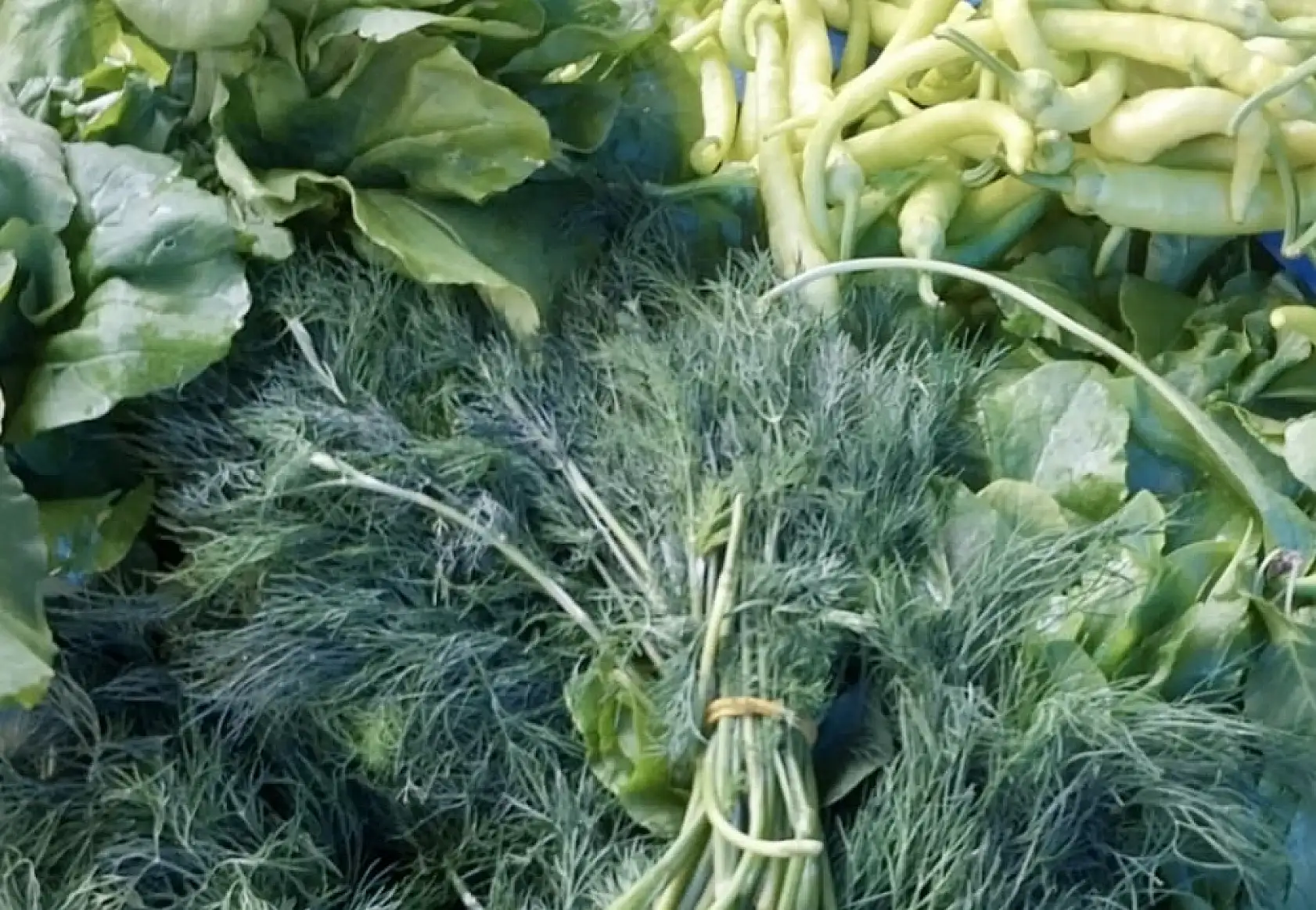 İster al ister alma