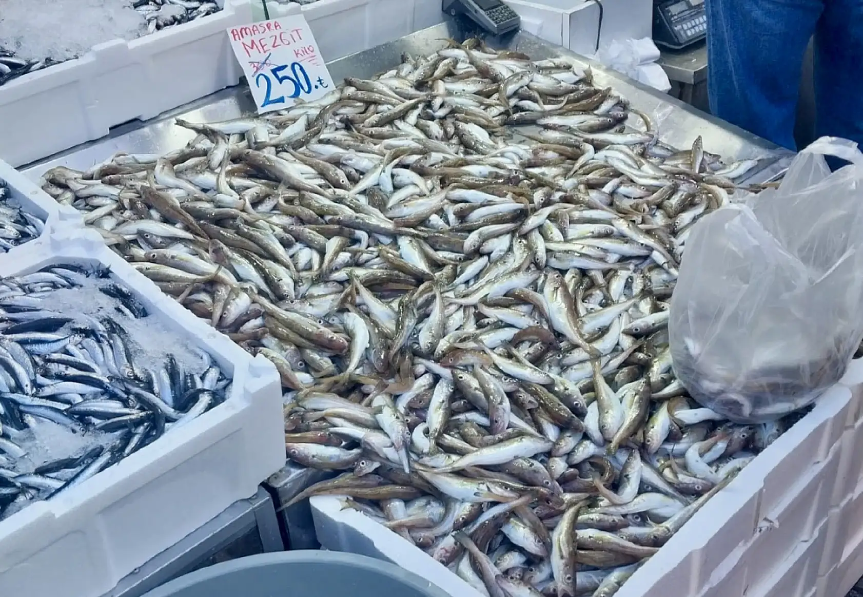 Hamsiye mezgite doyacaksınız