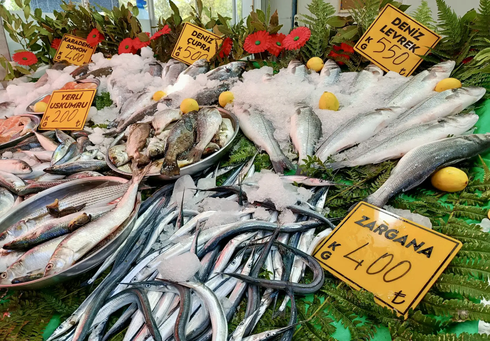 Balıkçıların gözü 'kestane karası'nda