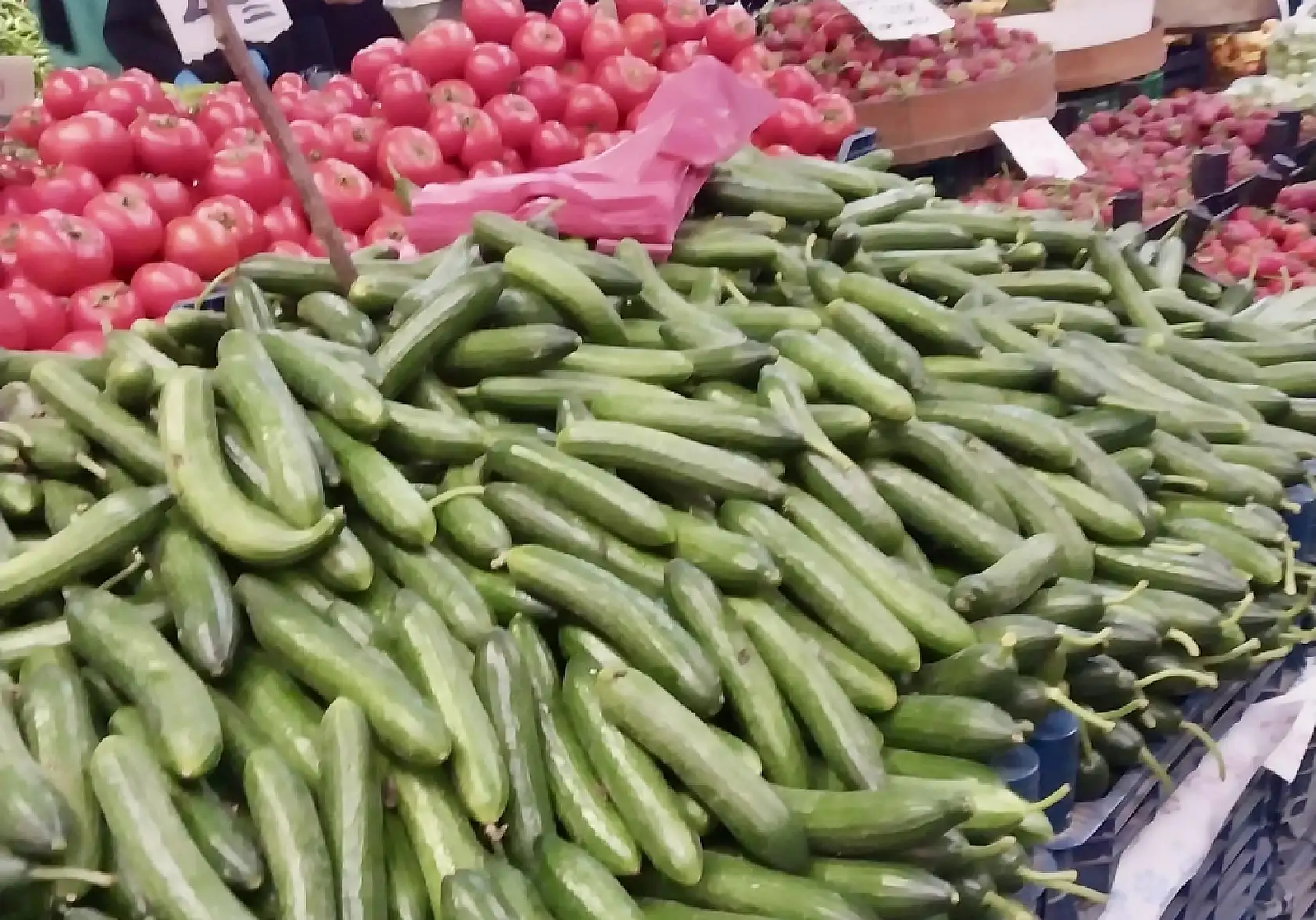 Balıksız kalmıyoruz