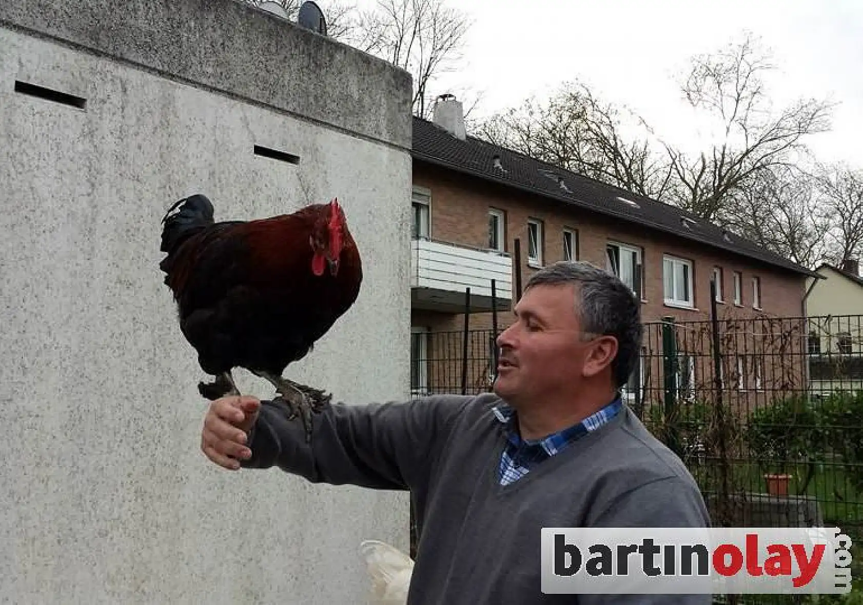Çok sevdiği horozlarına onun adını koydu