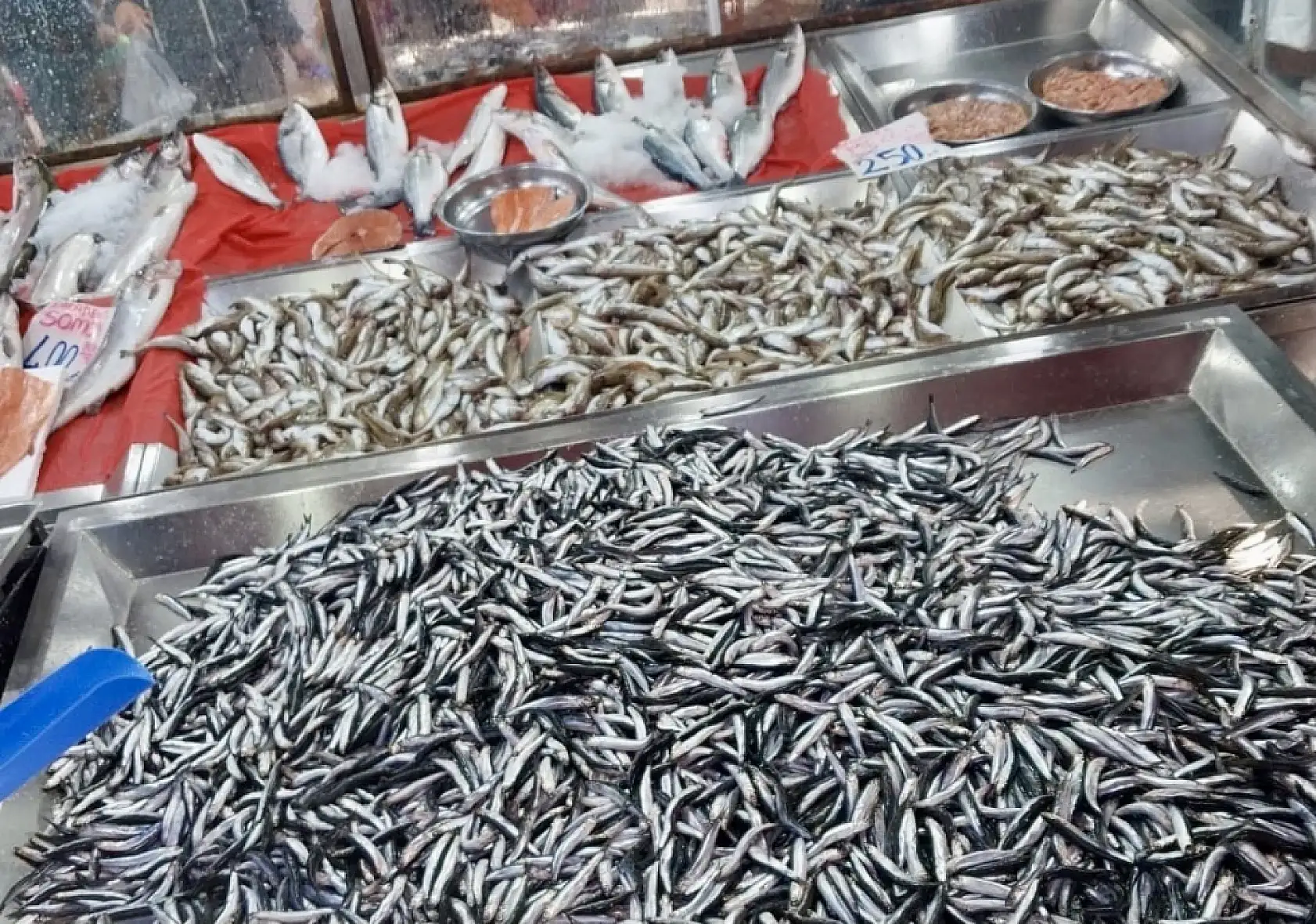 Hamsi bugün kampanyalı