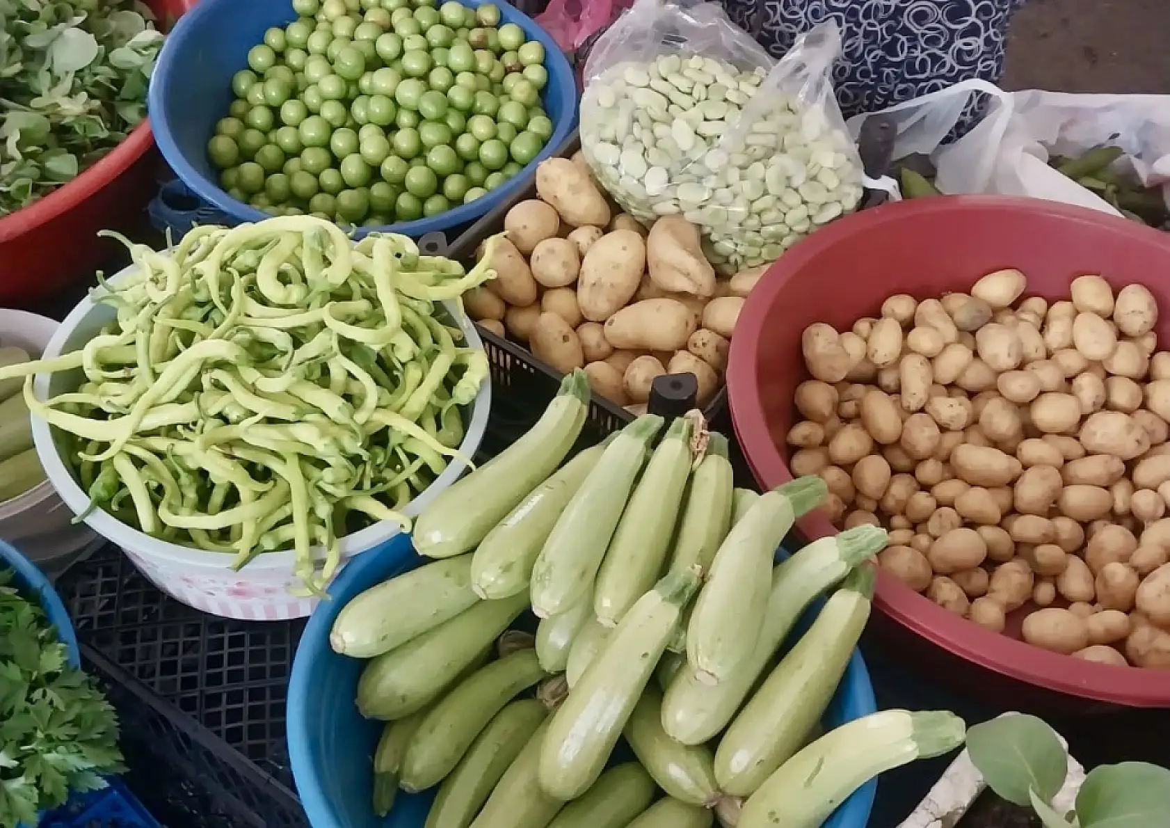 Karpuz düşüşe geçti