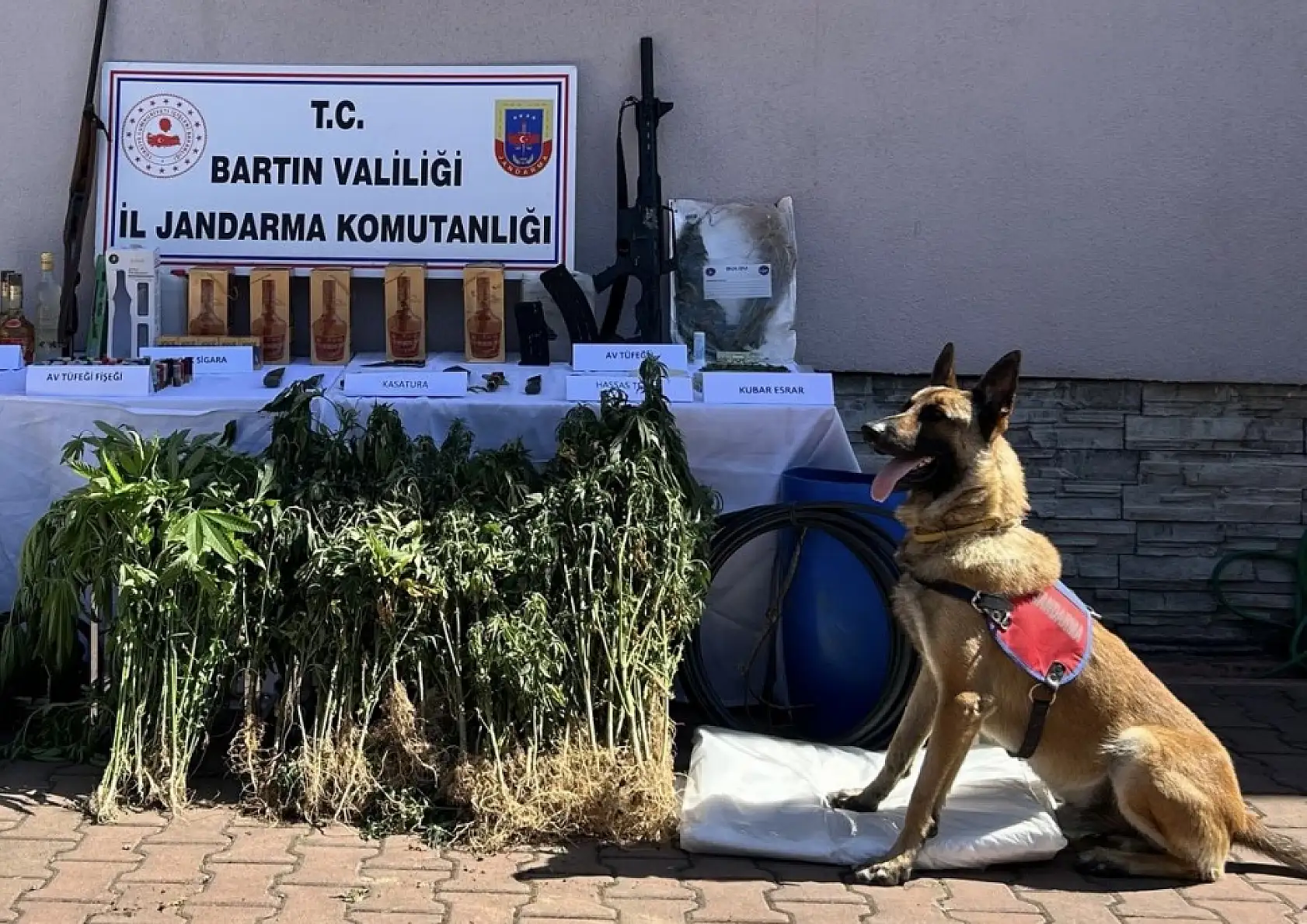 Belirlenen adrese baskın