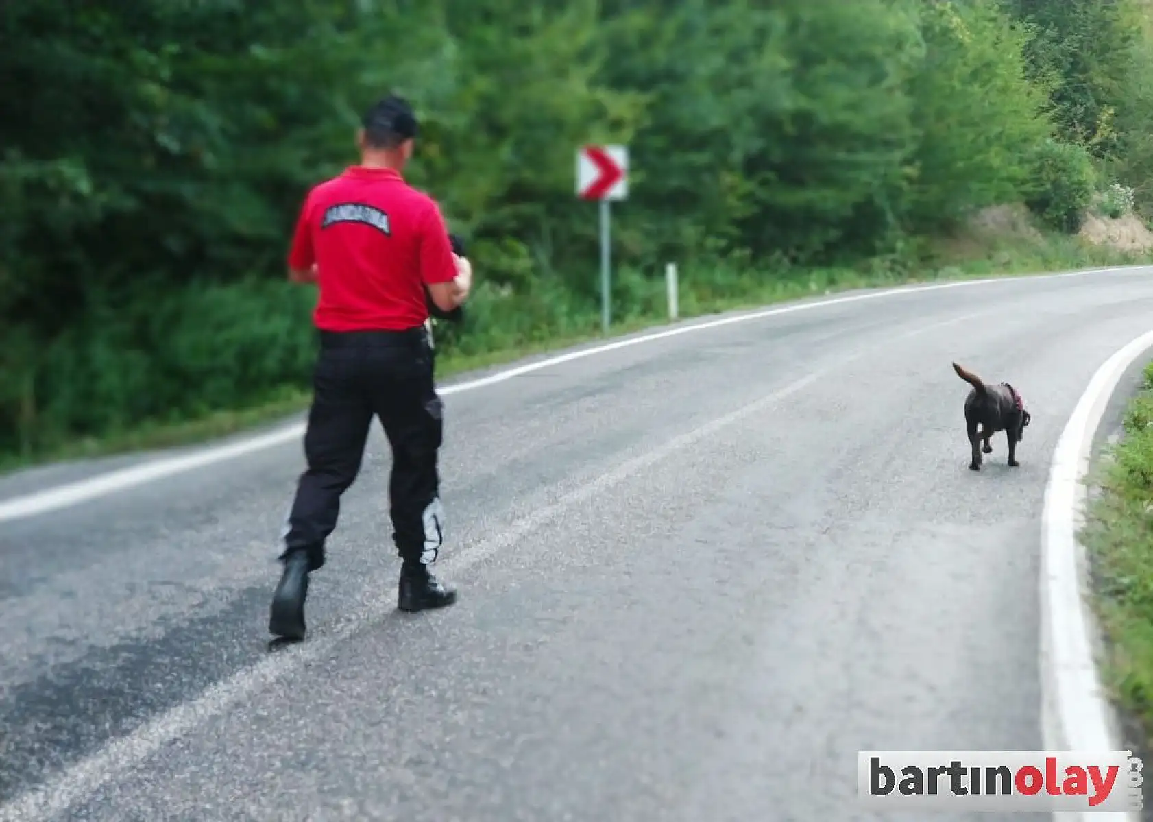 Hırsız kanepenin içinde yakalandı