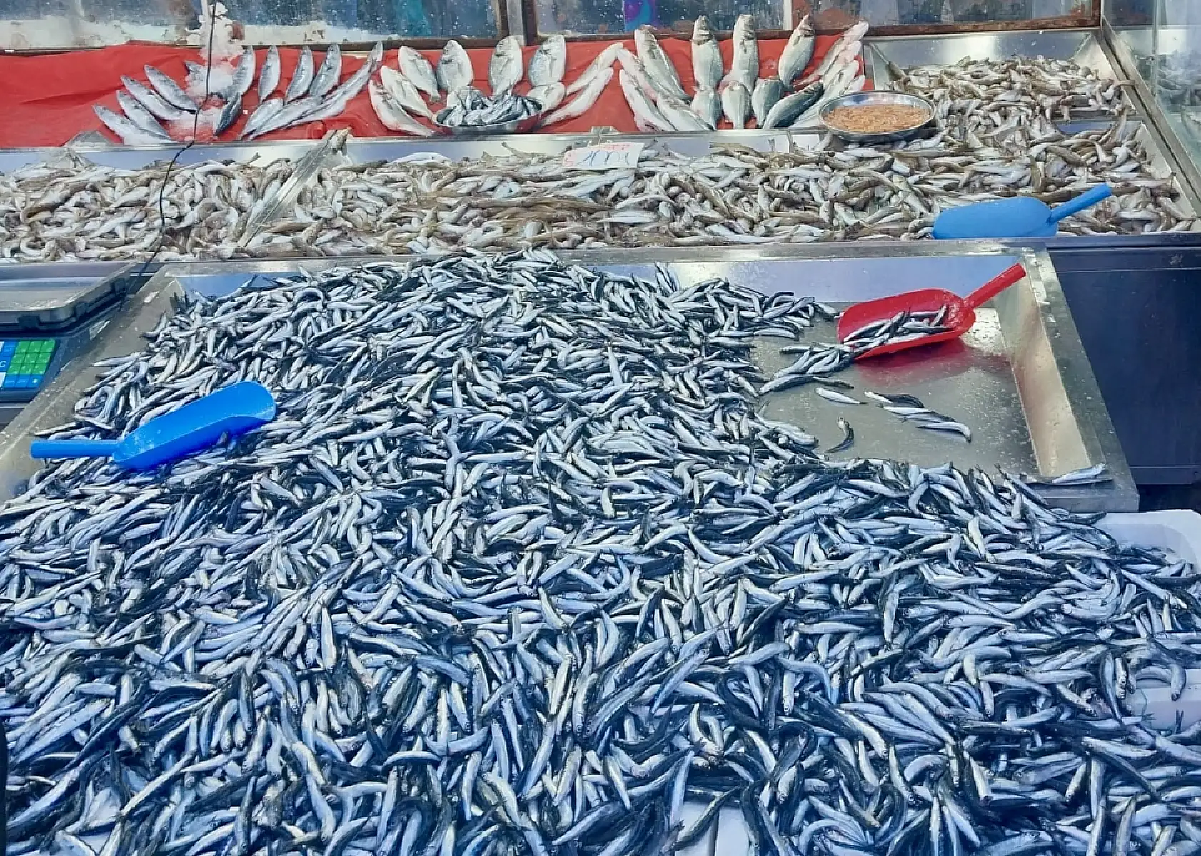 Gel vatandaş gel kampanyaya gel