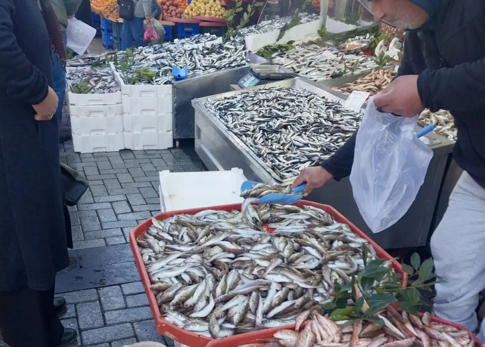 Salı pazarı ne durumda