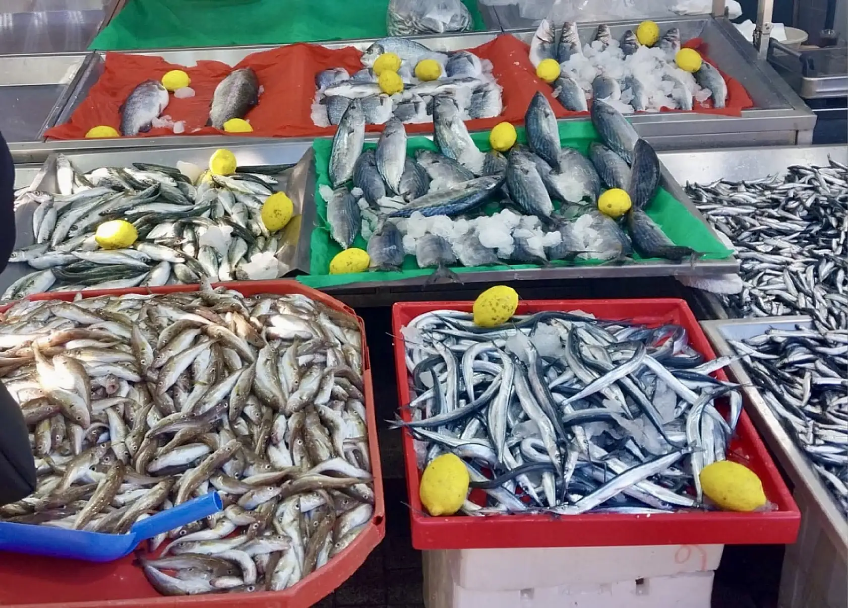 Gel vatandaş gel kampanyaya gel