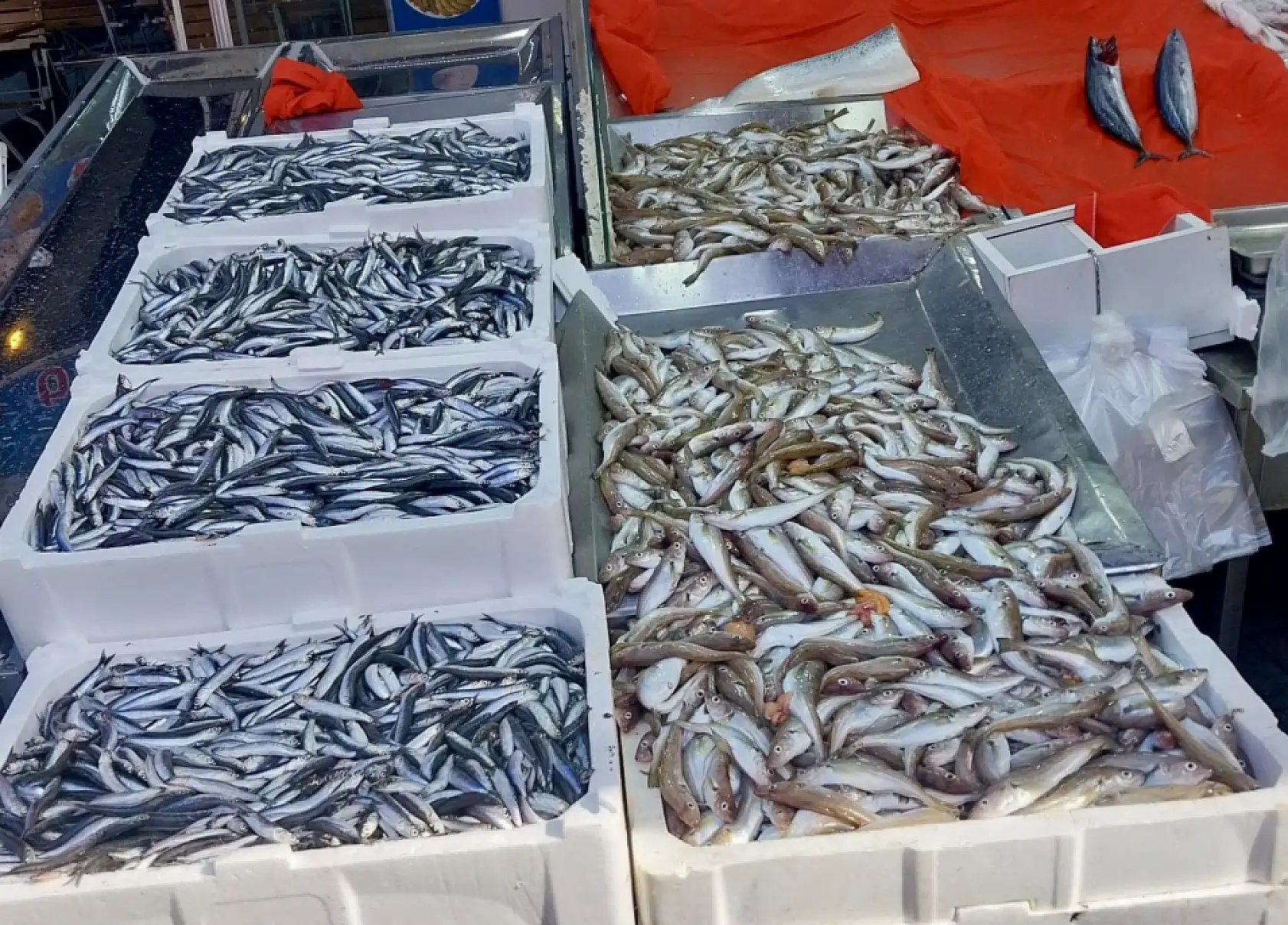 Hamsi yine fırladı