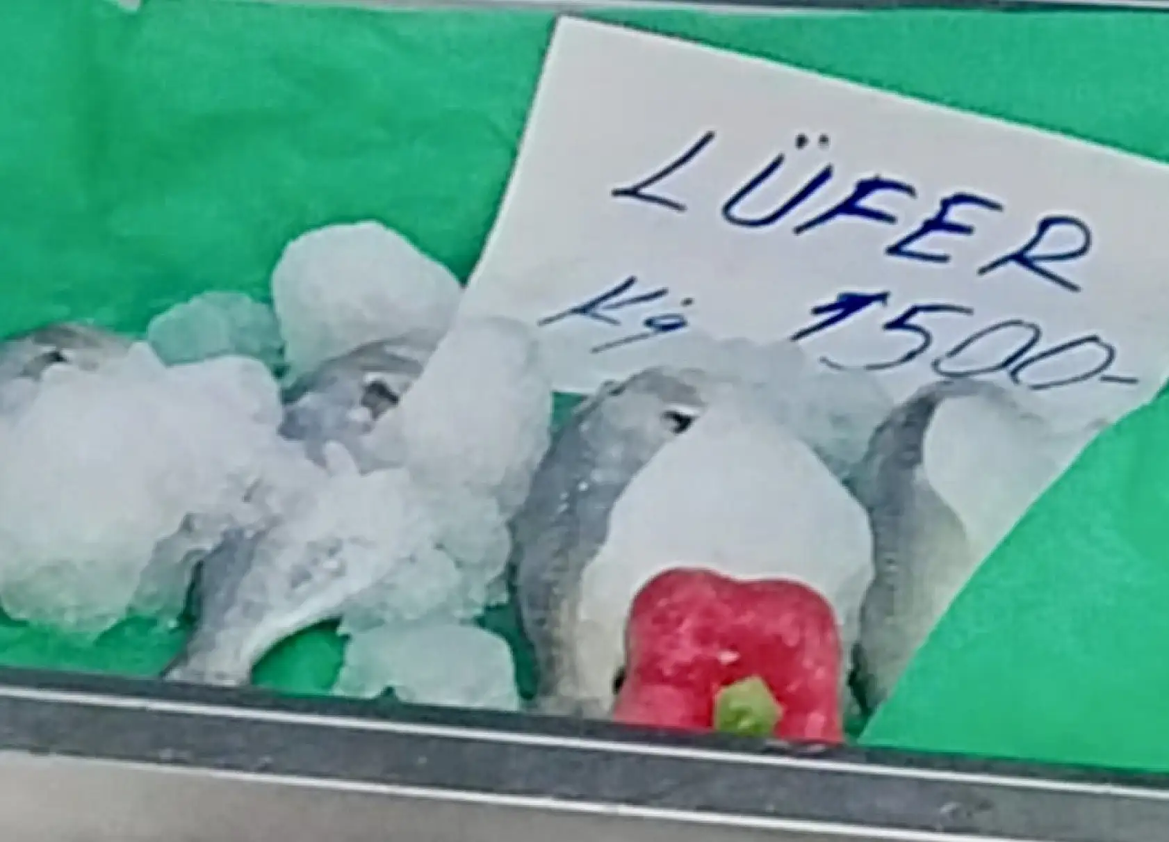 Her bütçeye uygun balık var!