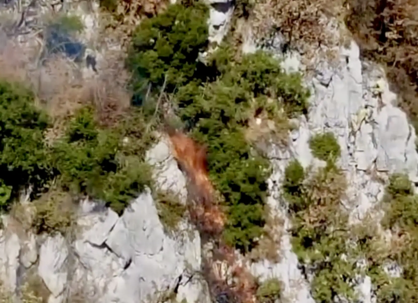 Ölümden döndüler