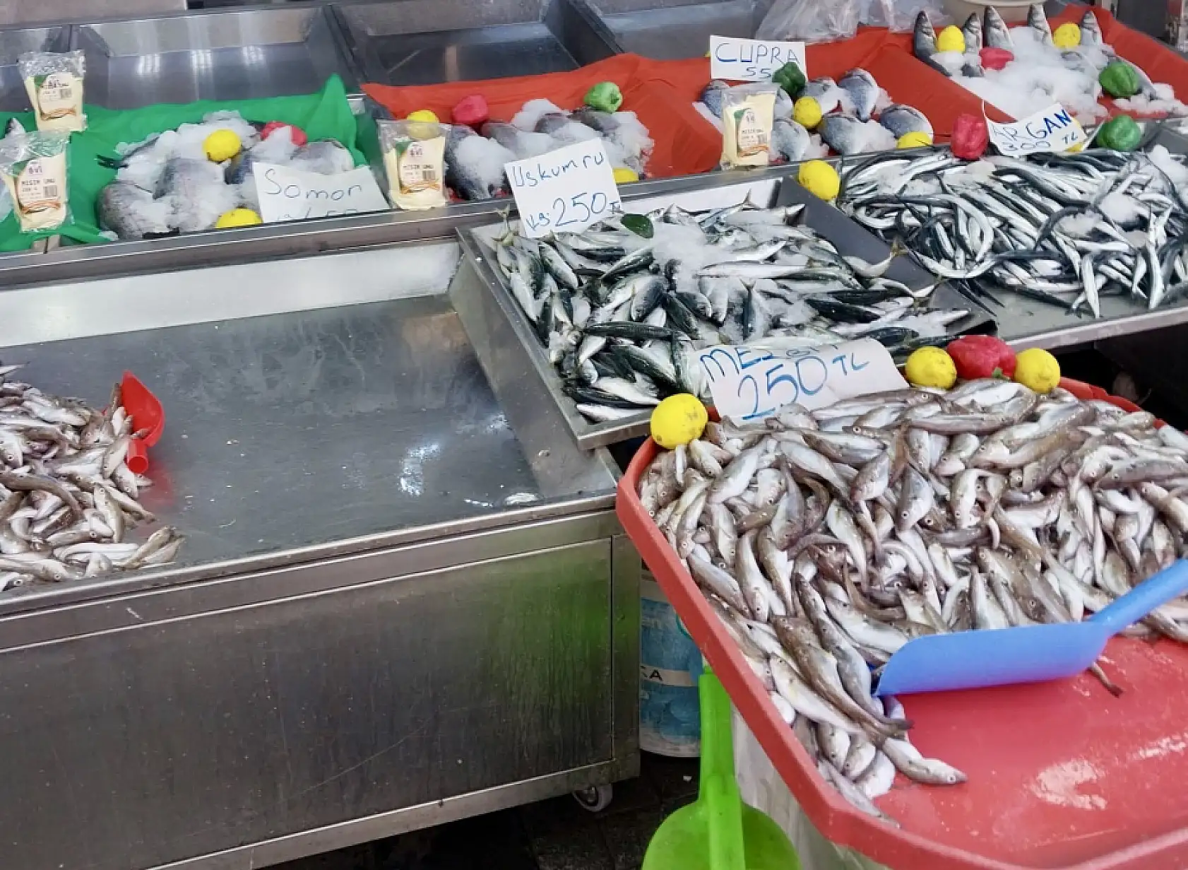 Fiyatlar asansör misali