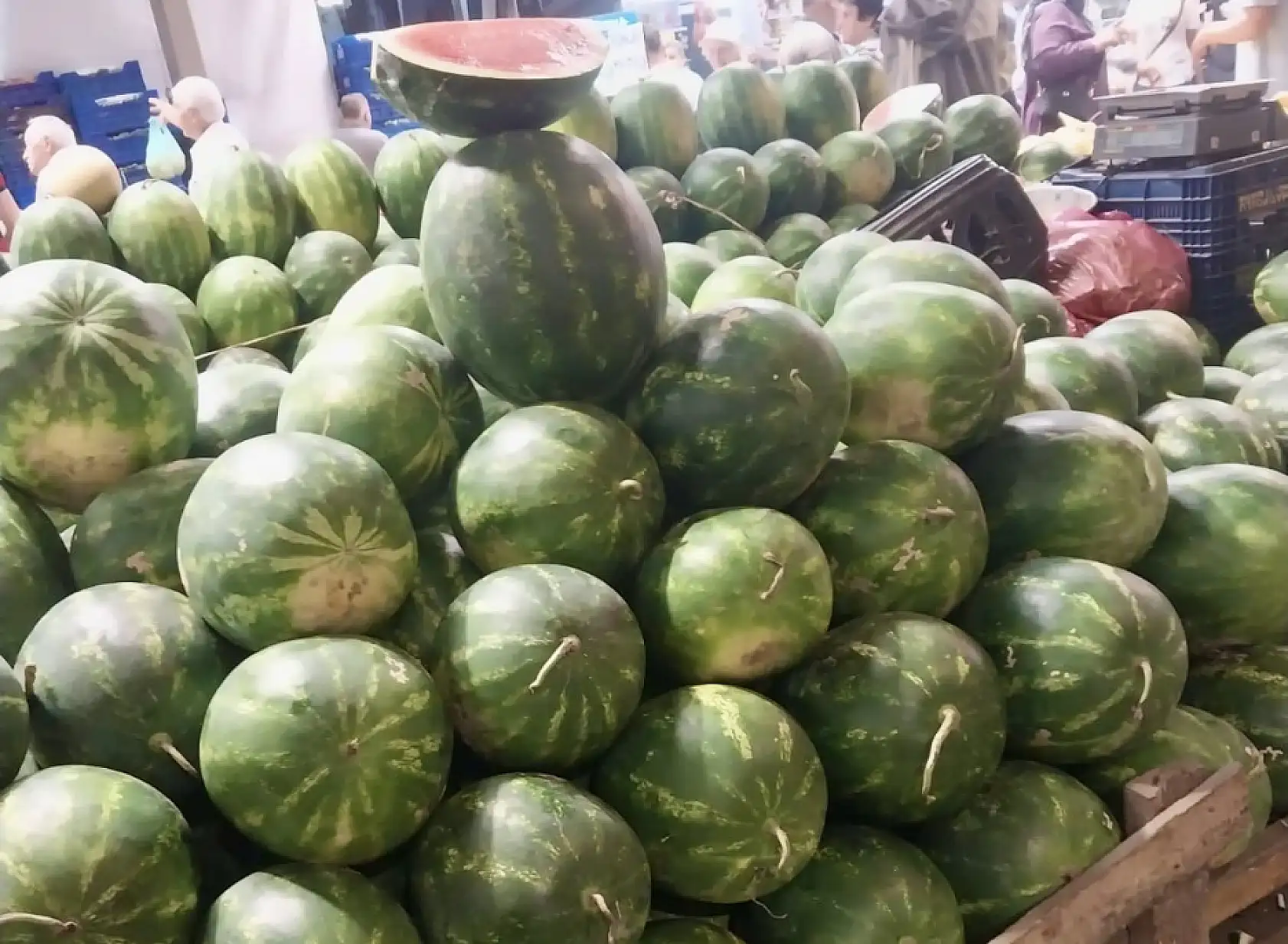 Karpuz düşüşe geçti