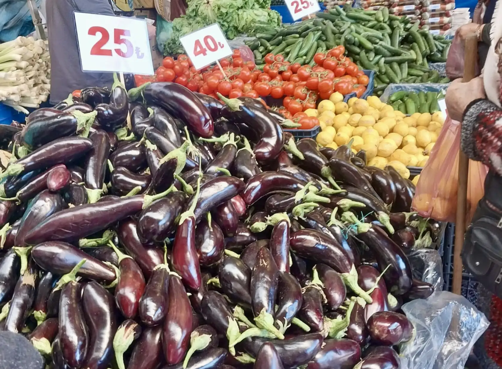 Balıklar oltaya geldi