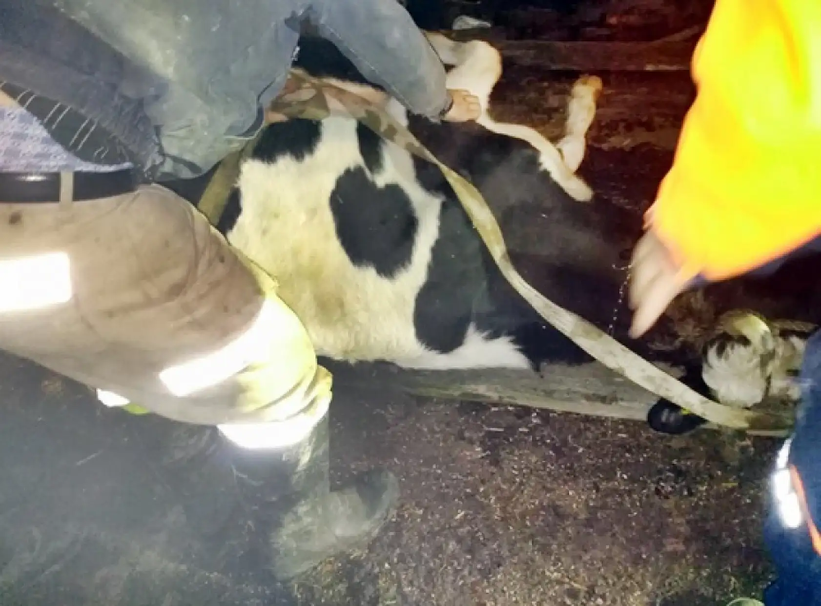 Dereye düştü, ekipler seferber oldu