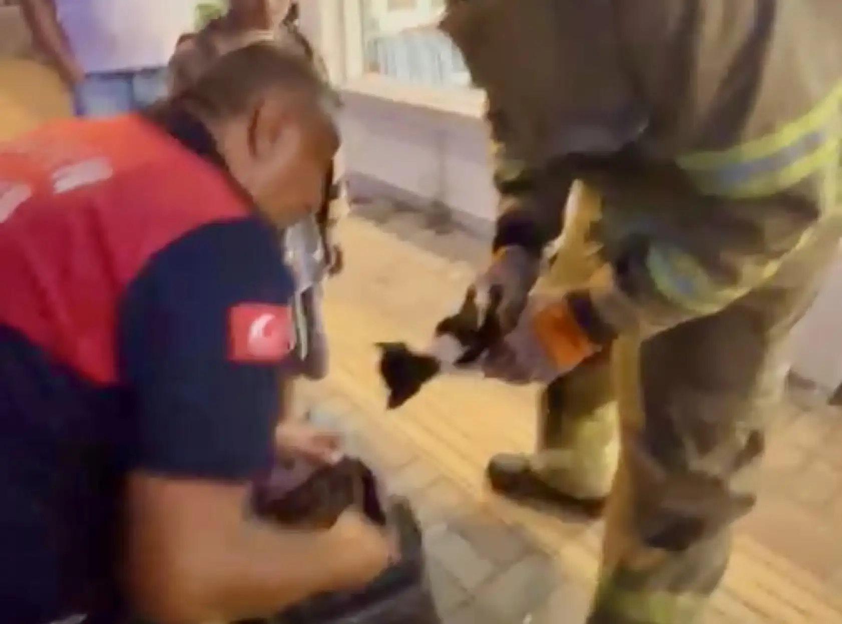 Bak şu yaramazın yaptığına