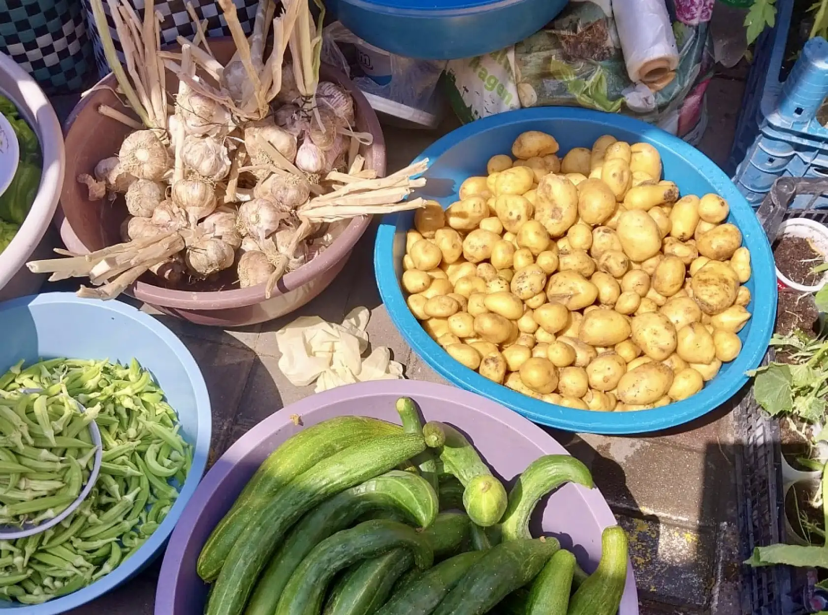 Fiyatlarda son durum