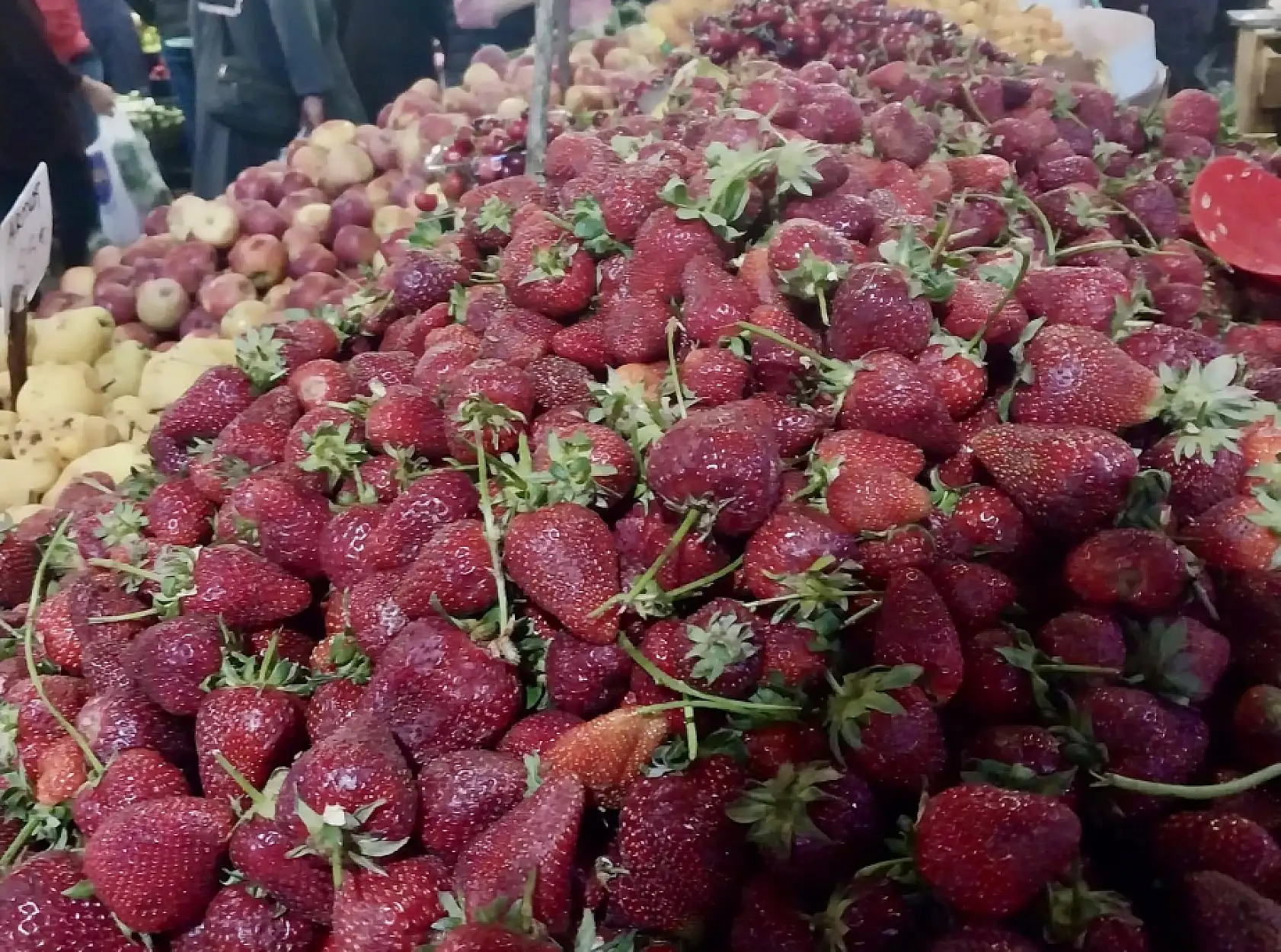 Balıksız kalmıyoruz