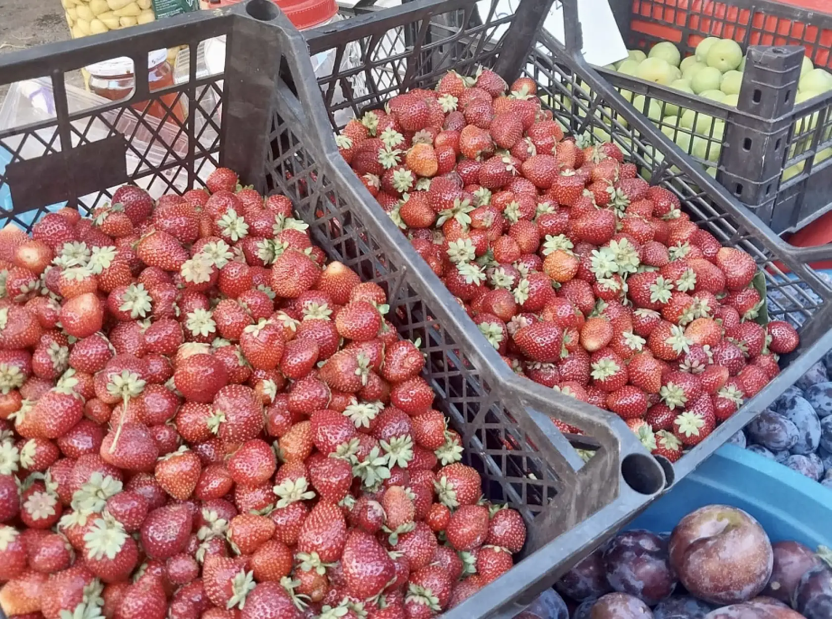 Pazar pazar olalı böyle fiyat görmedi
