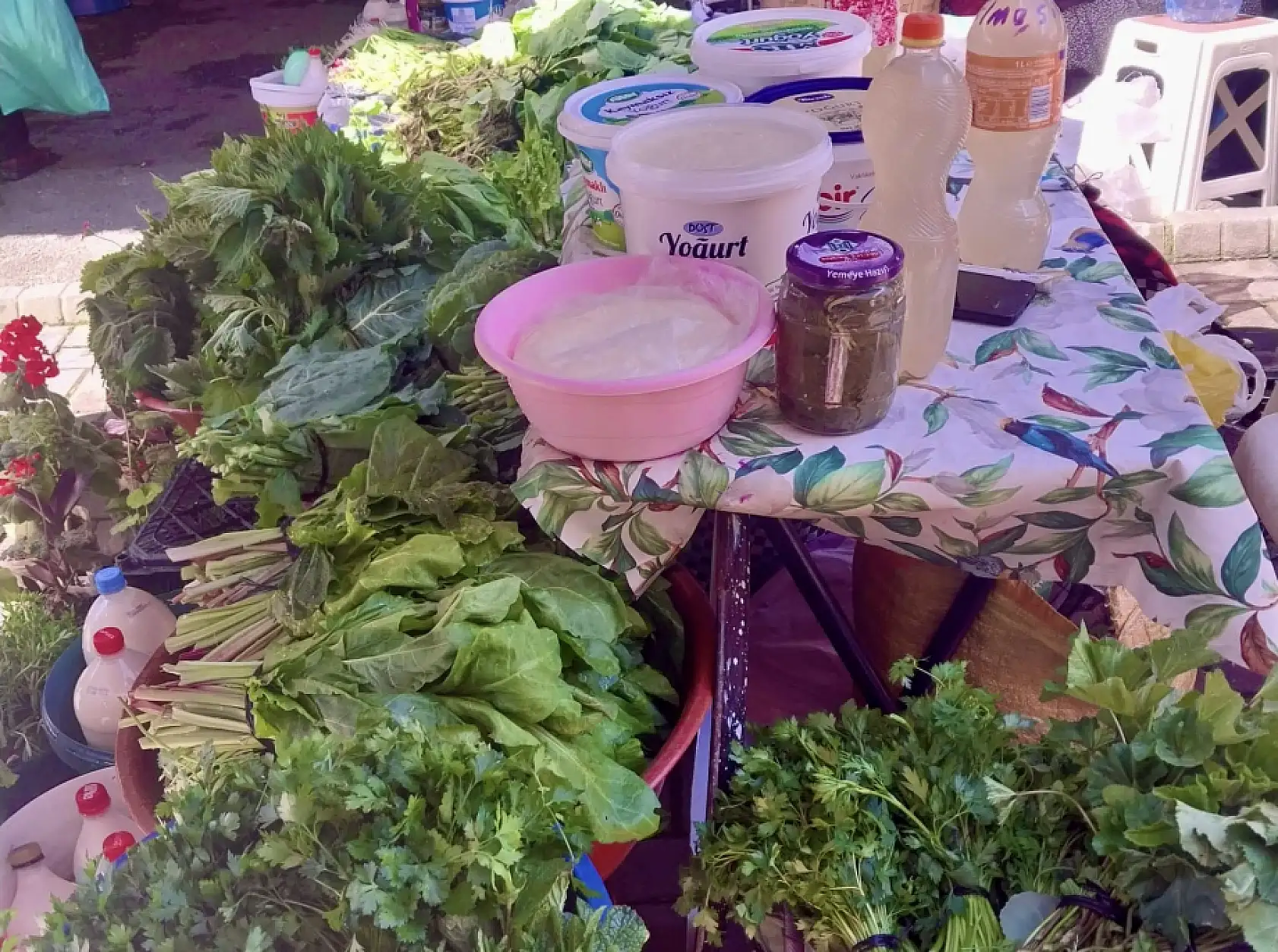 Balıkta sezon finali