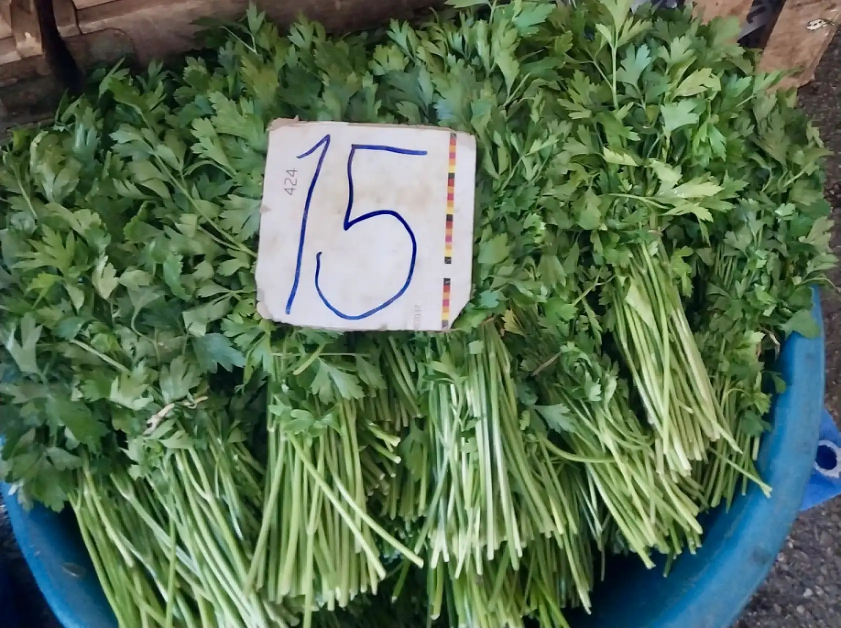 Pazar pazar olalı böyle fiyat görmedi