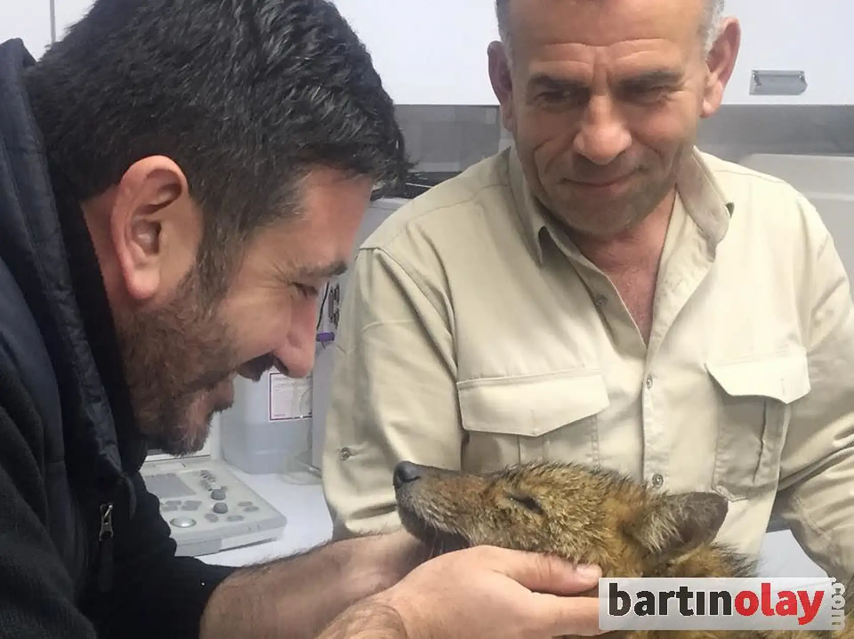 Su kanalına düşen tilkiyi kurtarma operasyonu