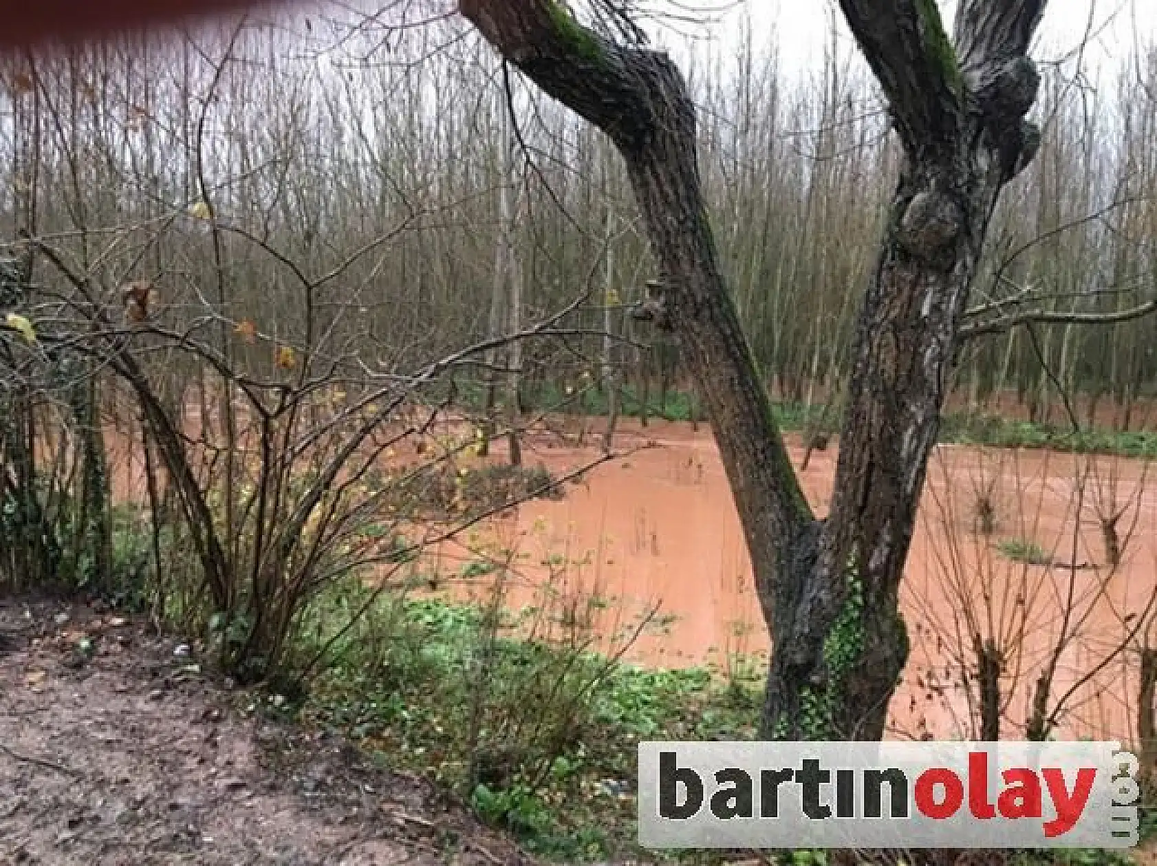 İki köprü sular altında kaldı