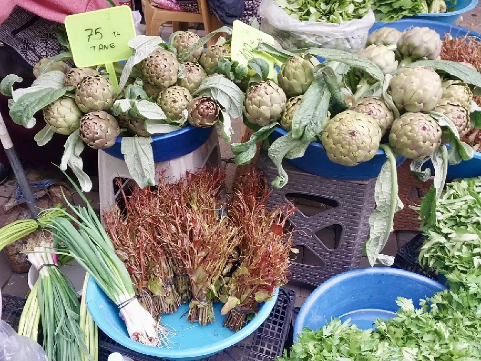 Balıksız kalmıyoruz