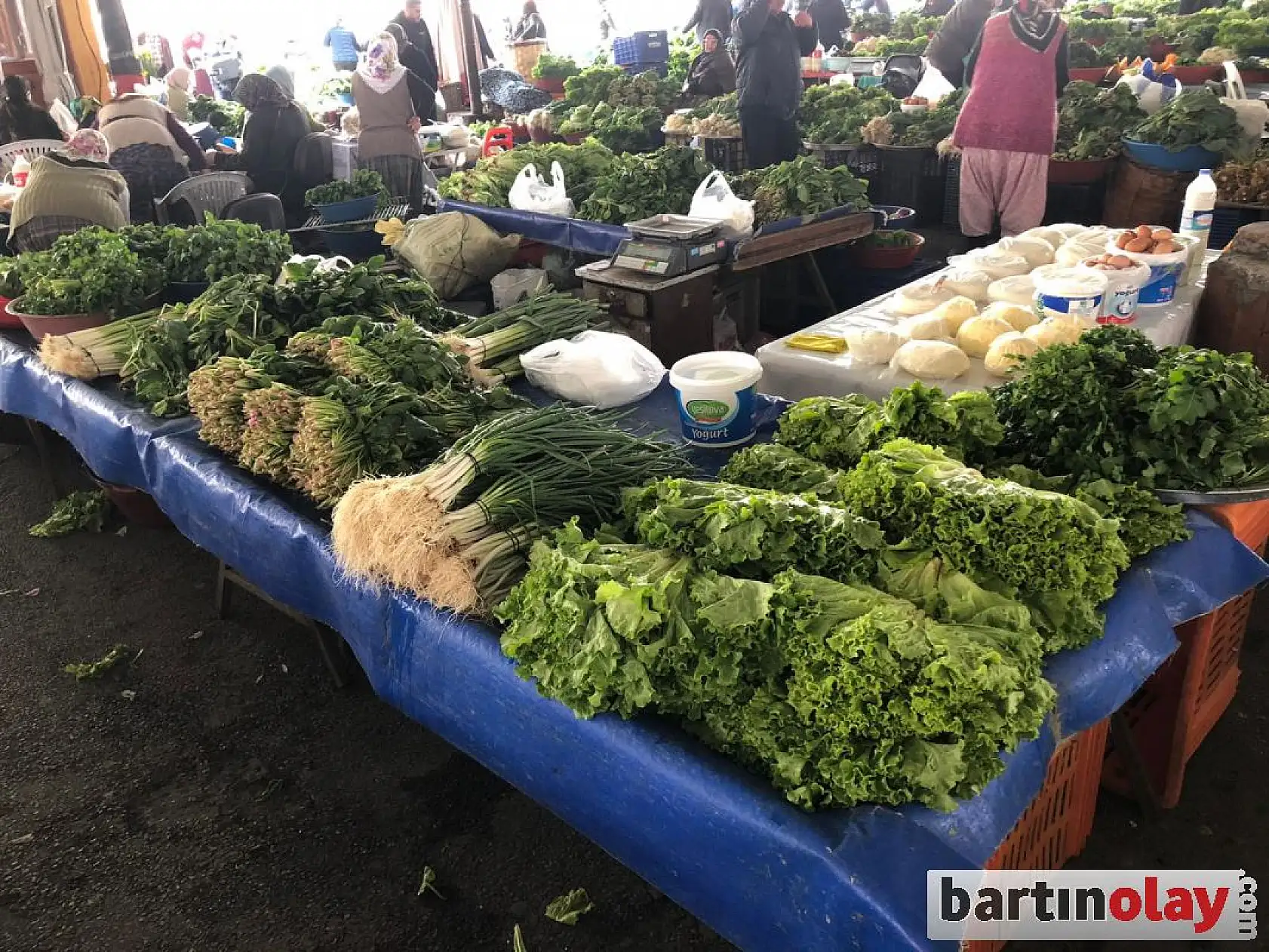 Bartın Galla pazarı