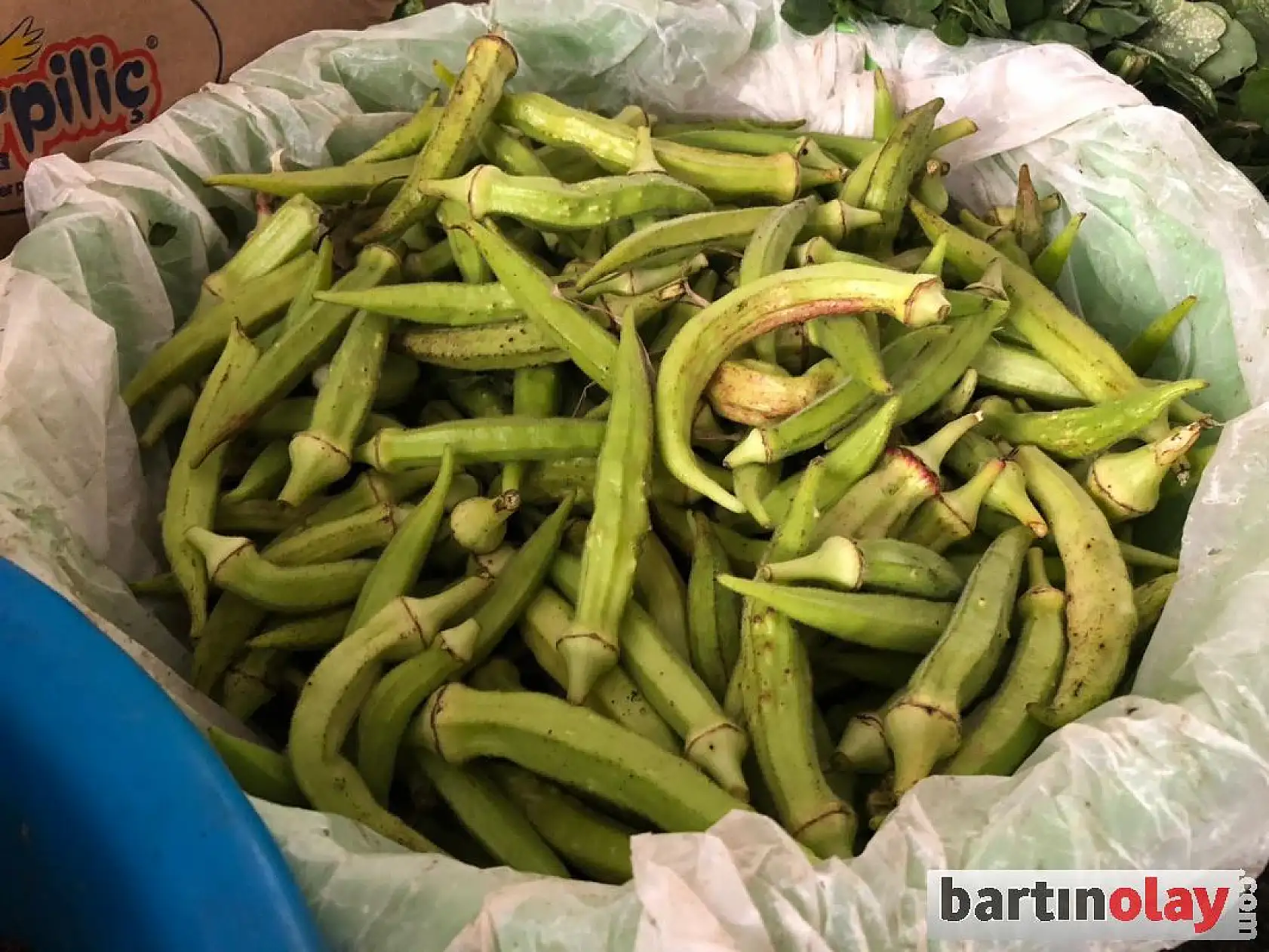 Galla pazarında sebze bolluğu