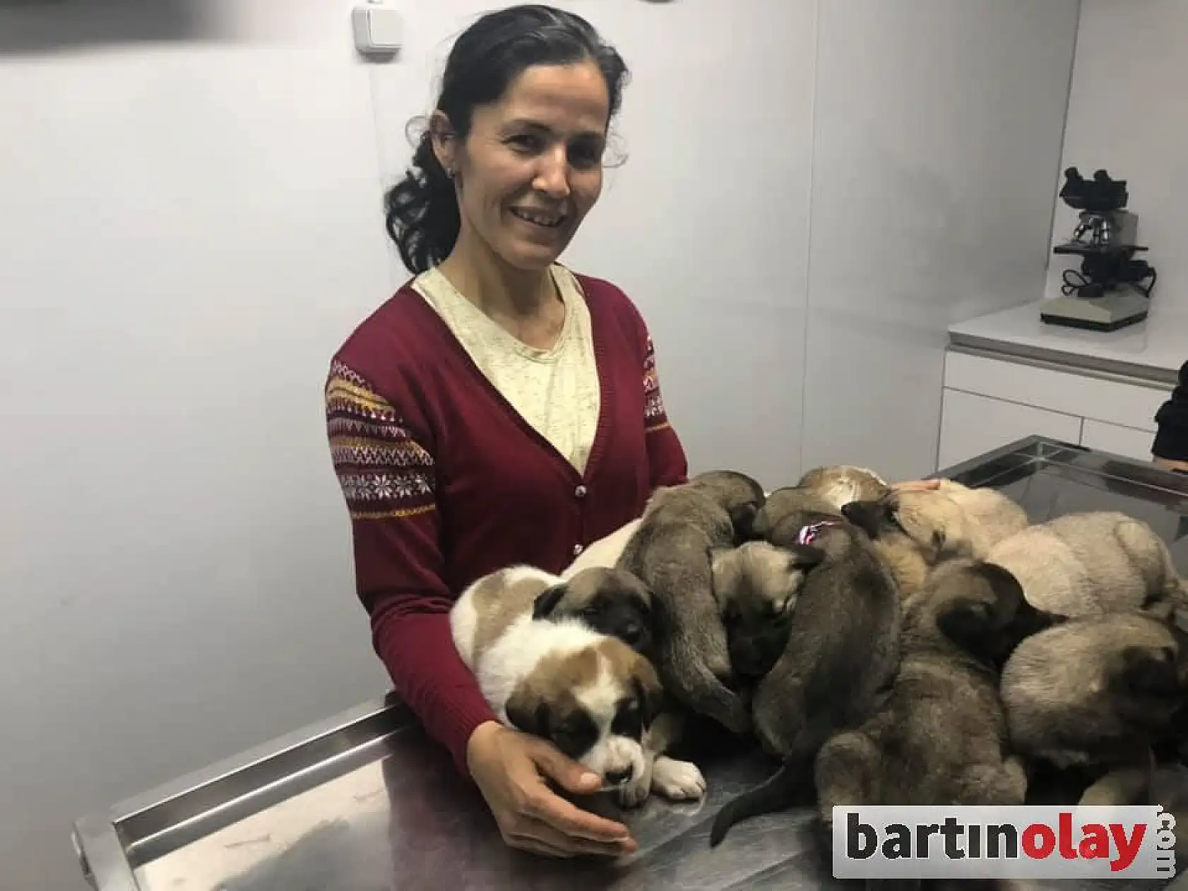 11 kangal yavrusu ilk aşılarını oldu