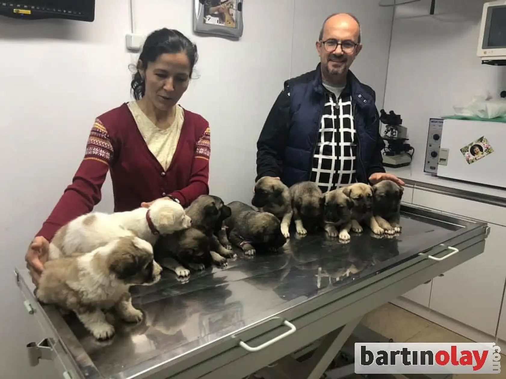 11 kangal yavrusu ilk aşılarını oldu