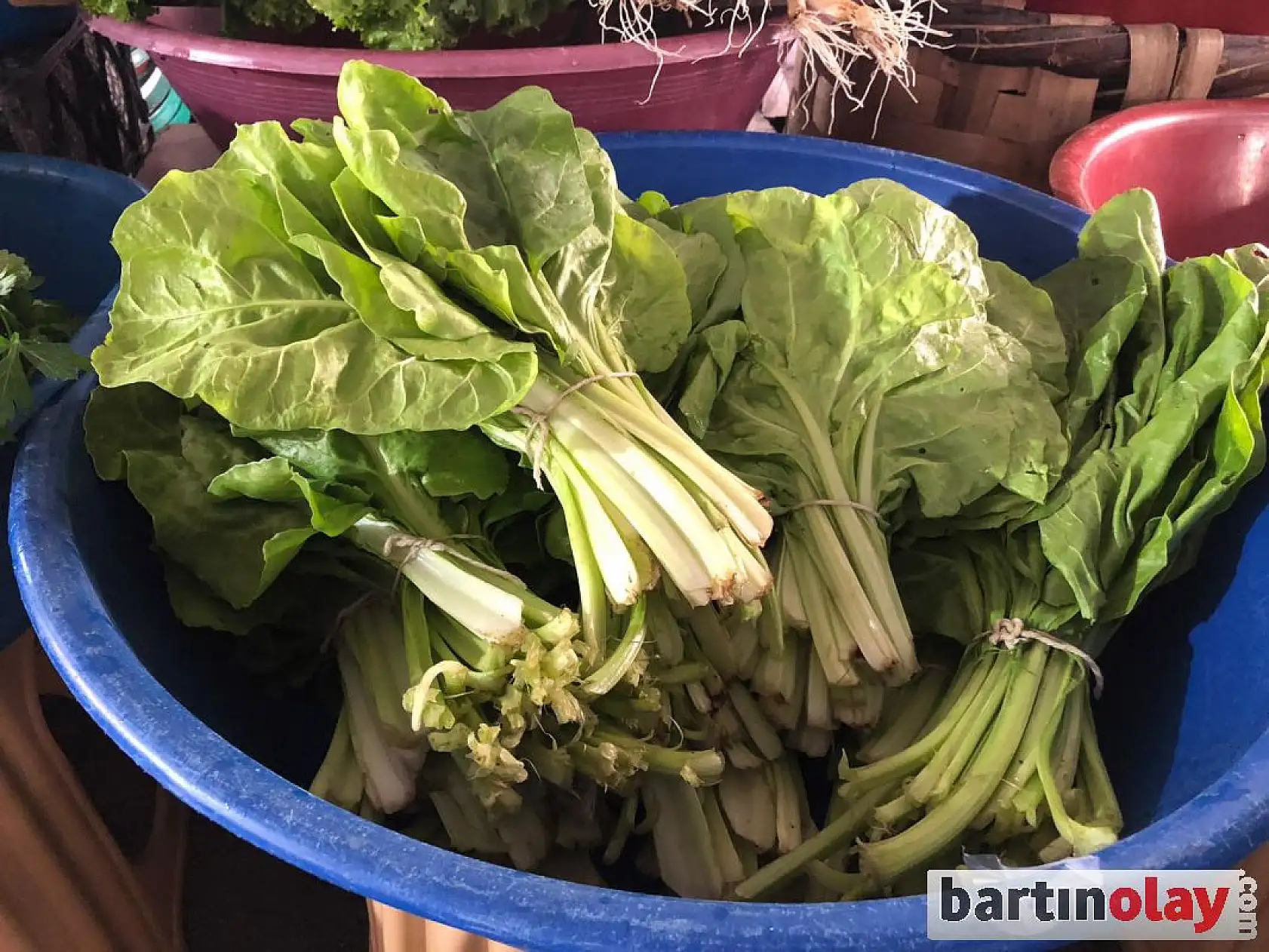 Pazar yerinde son durum