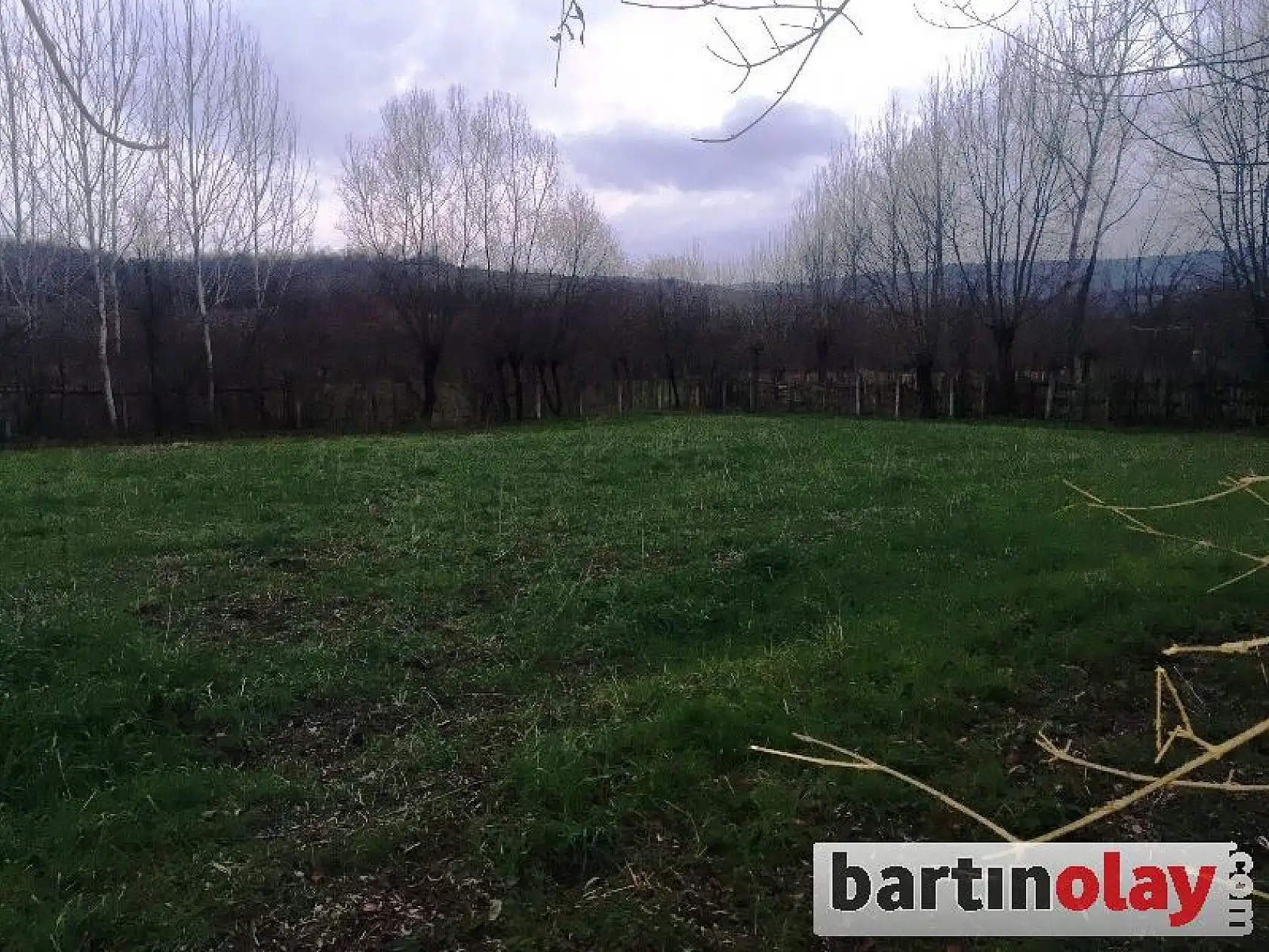 Ahırdan 4 hayvan çaldılar