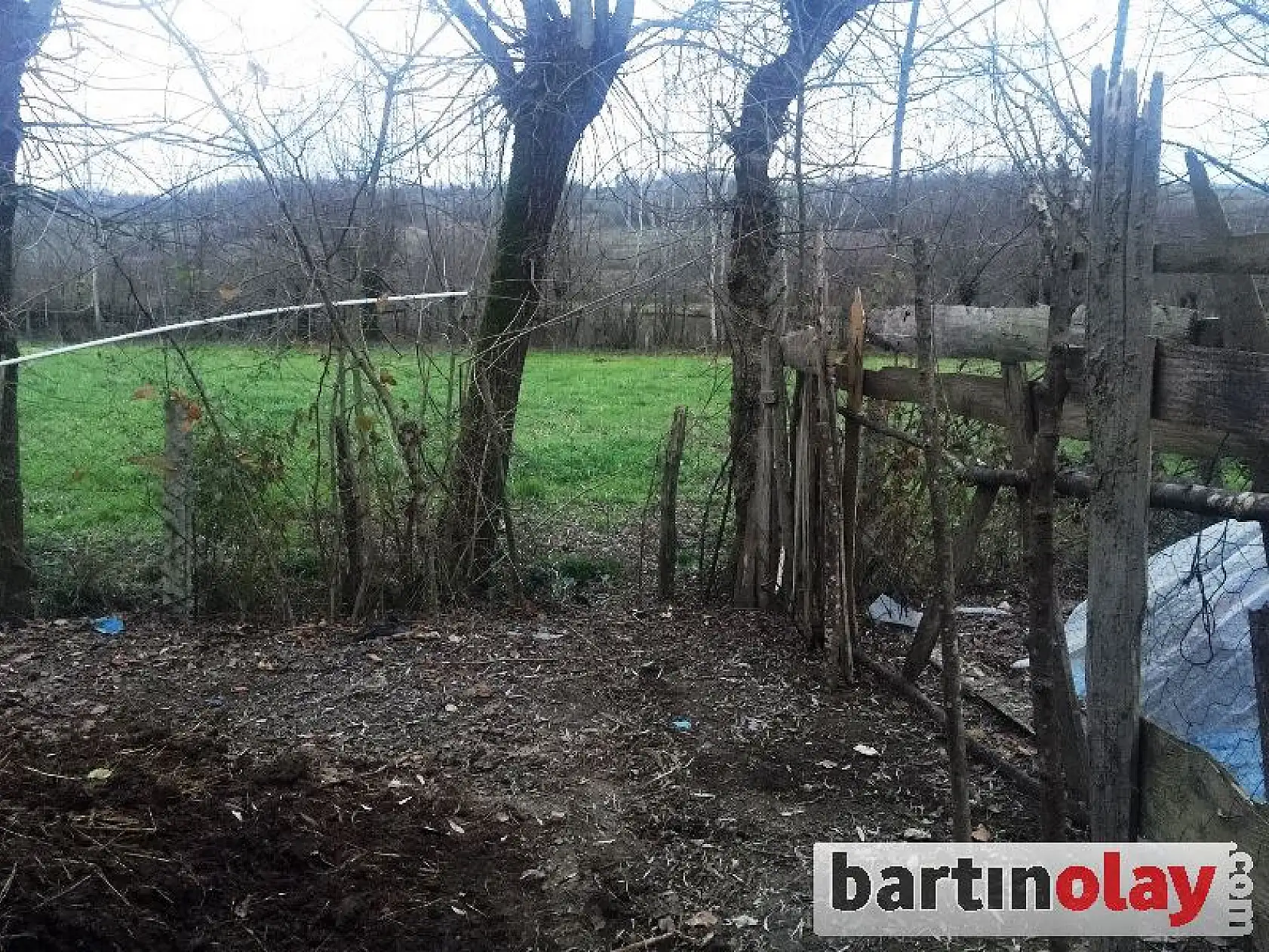 Ahırdan 4 hayvan çaldılar