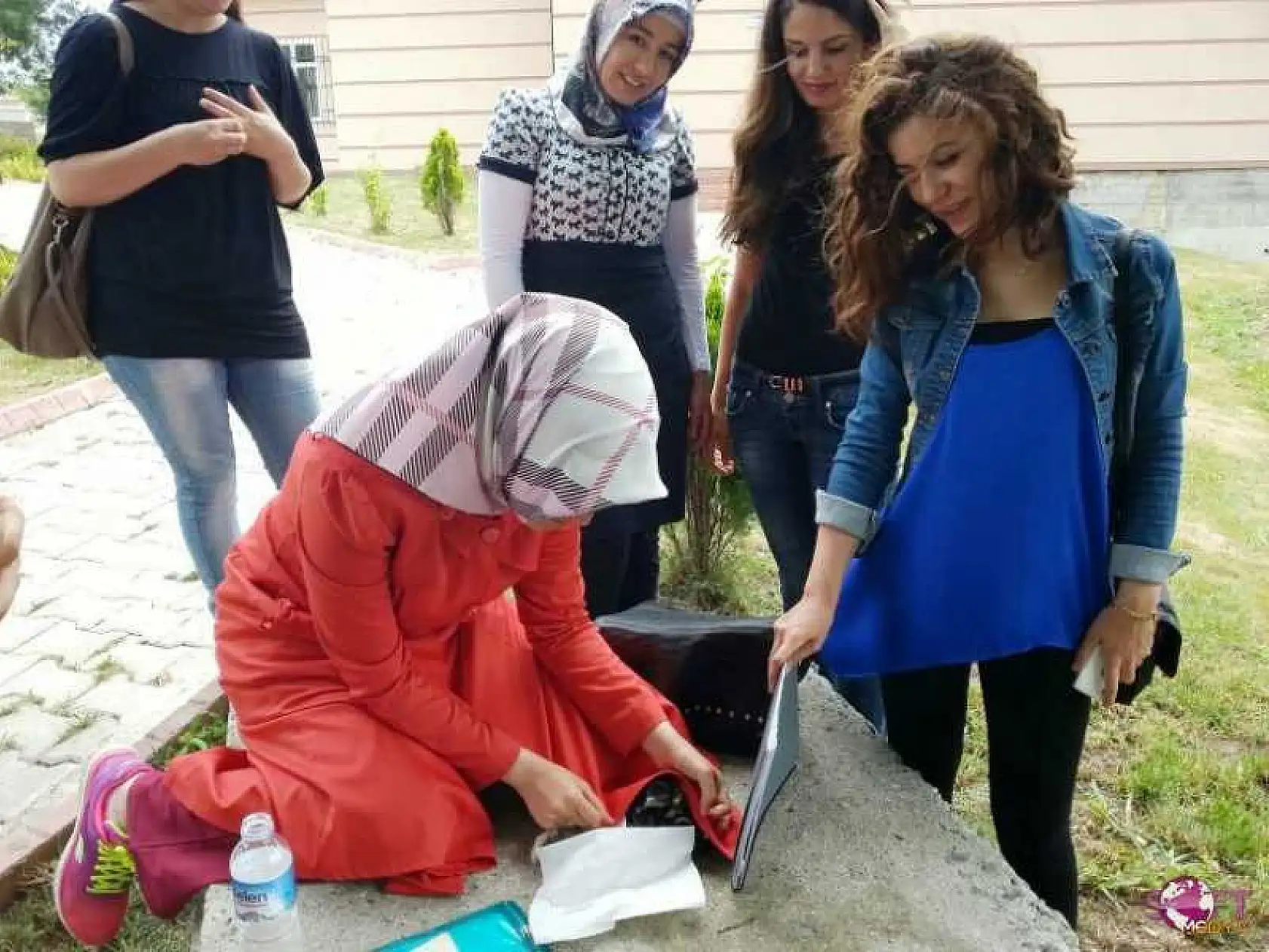 Ağaçkakan Yavruları Yuvalarından Düştü