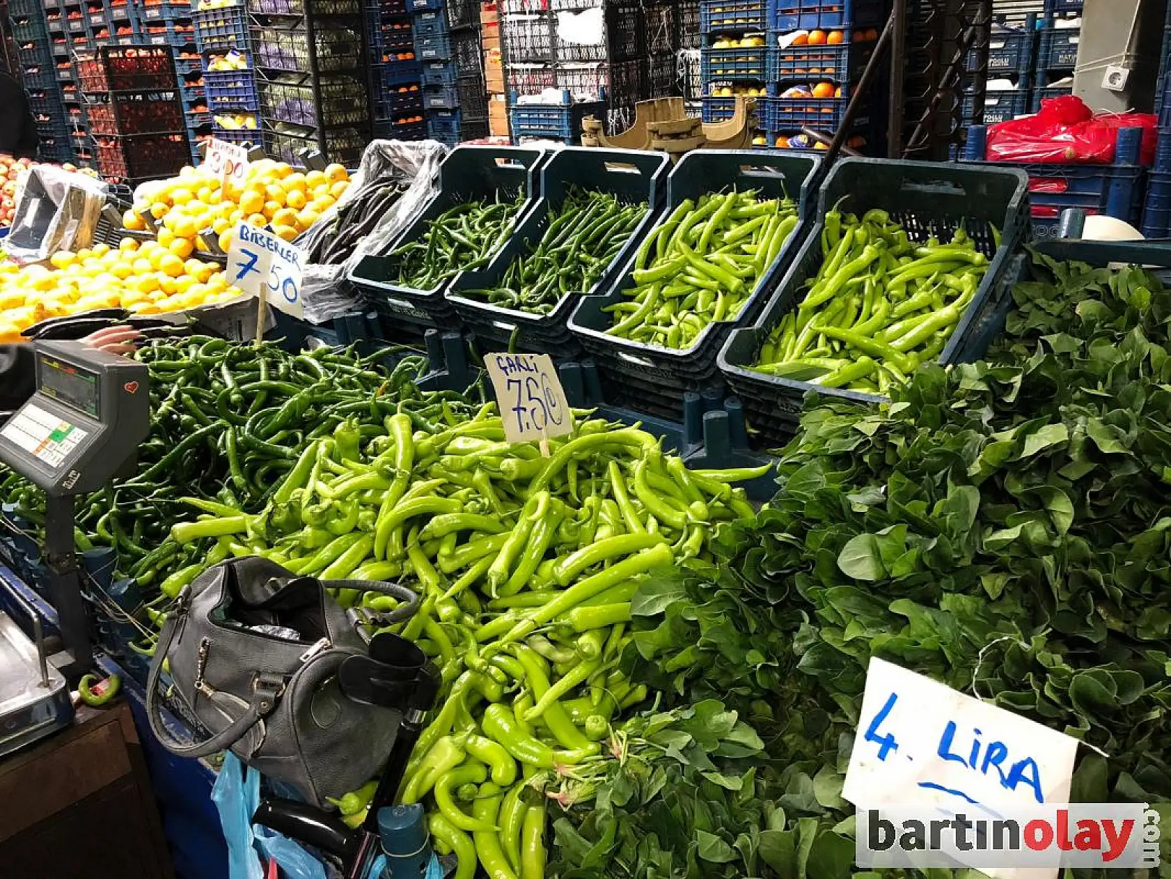 Bartın Galla pazarı