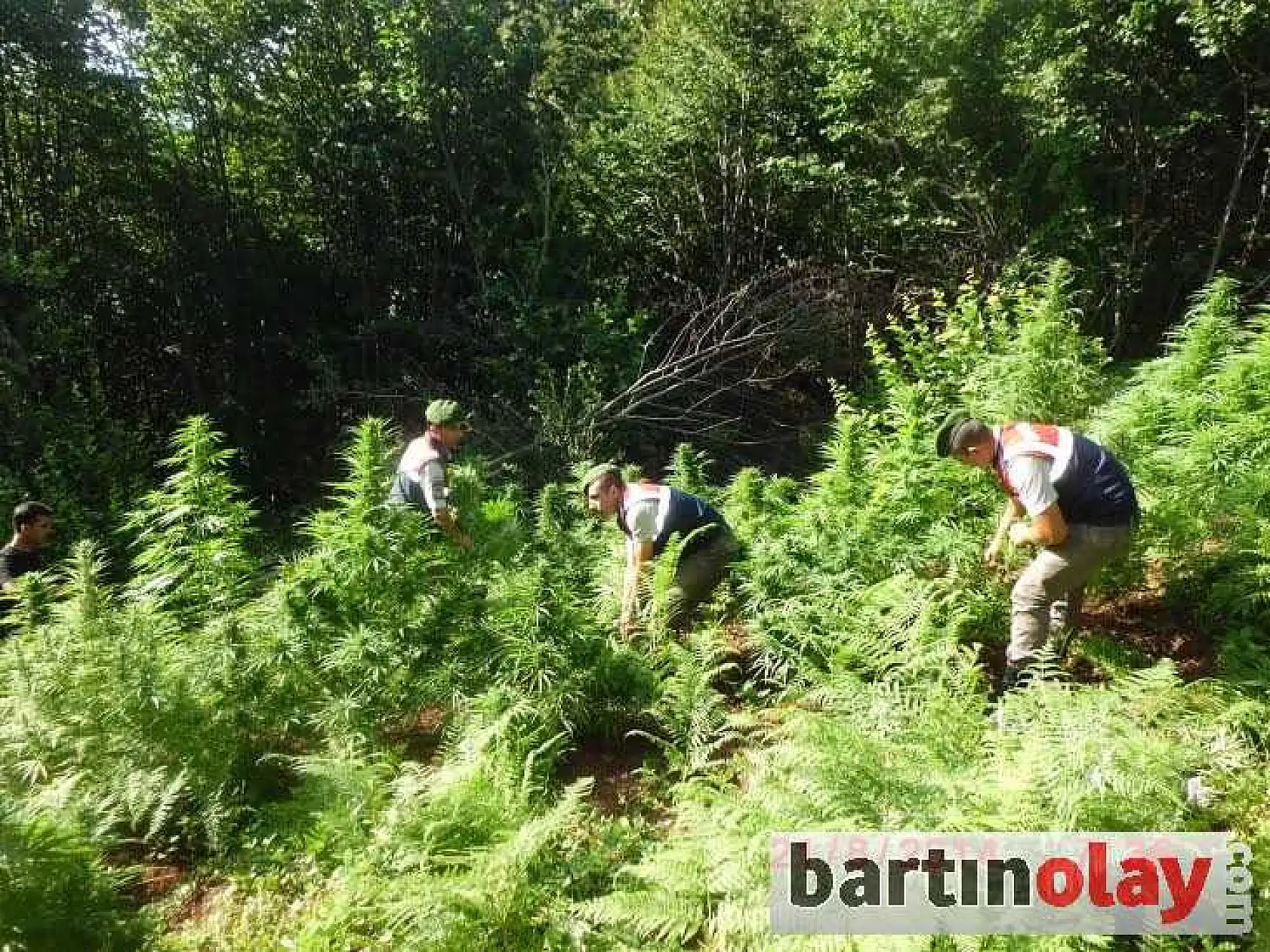 ULUS'TA UYUŞTURUCU OPERASYONU