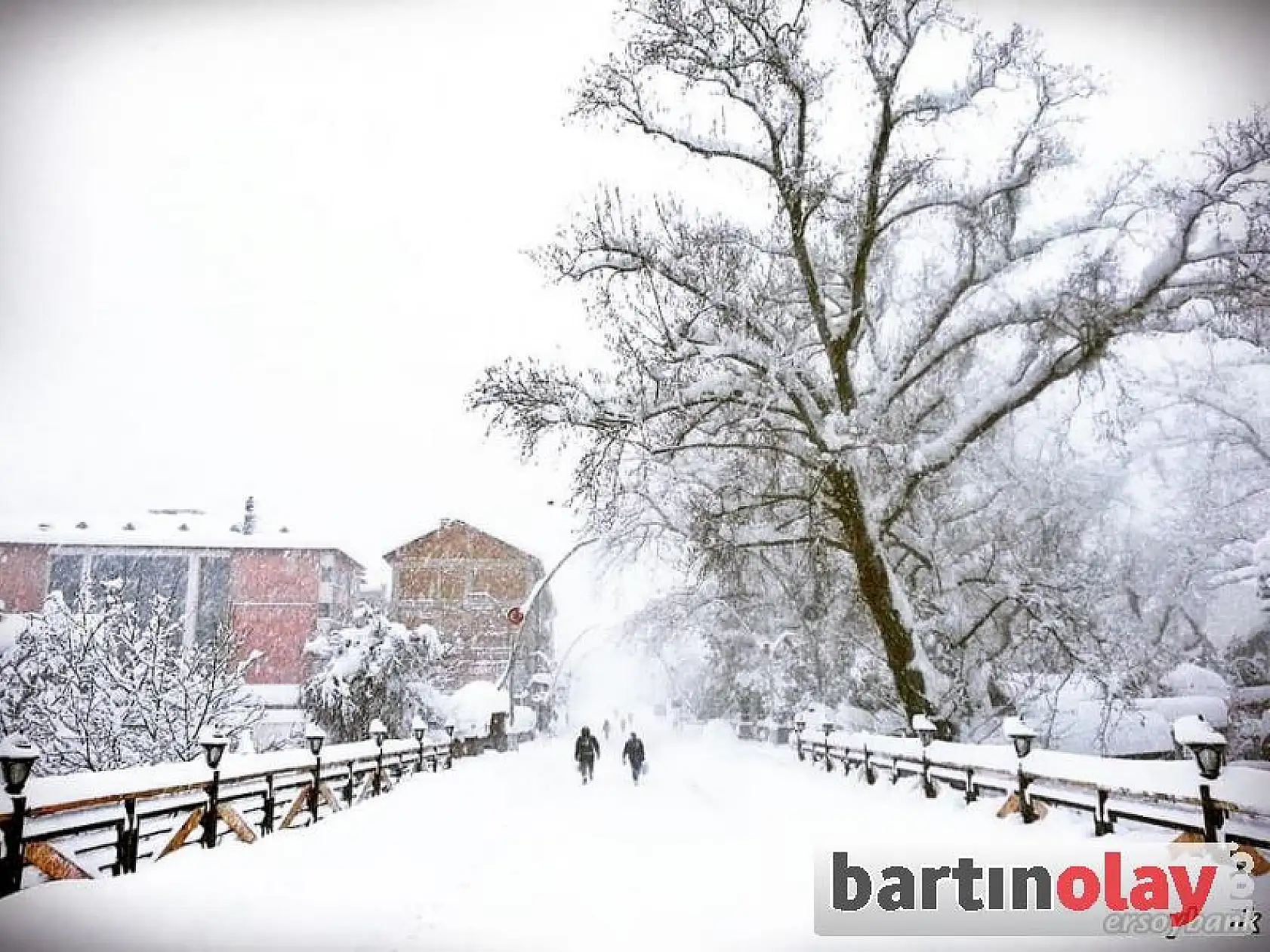 Bartın'dan kar manzaraları