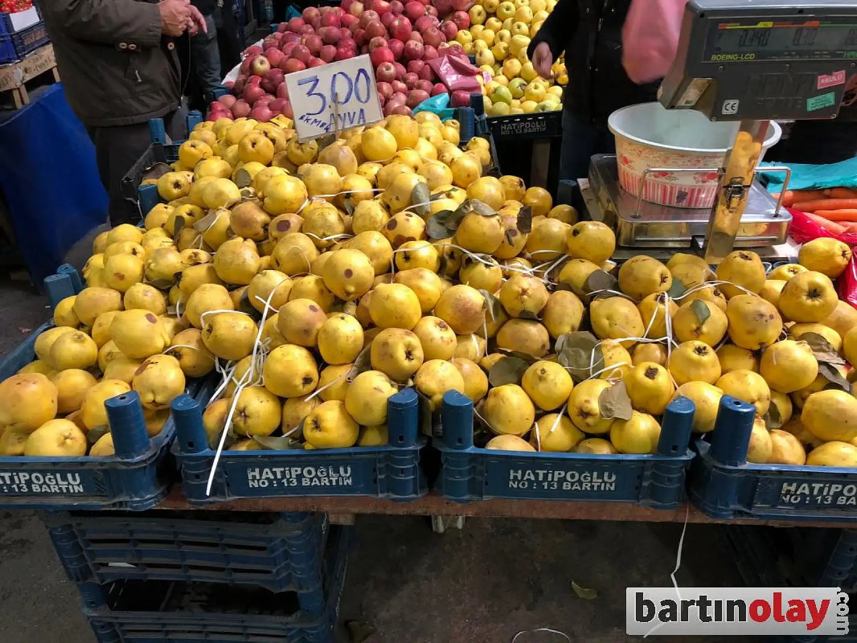 Bartın Galla pazarı