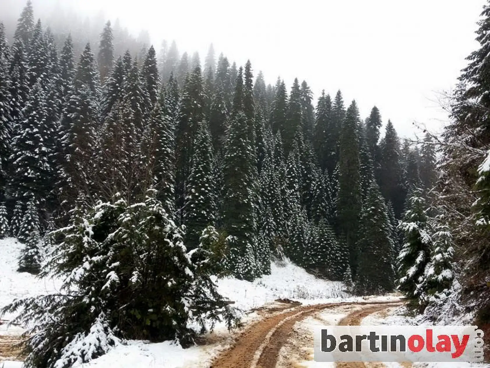 Bartın'da Yaylalara İlk Kar Yağdı