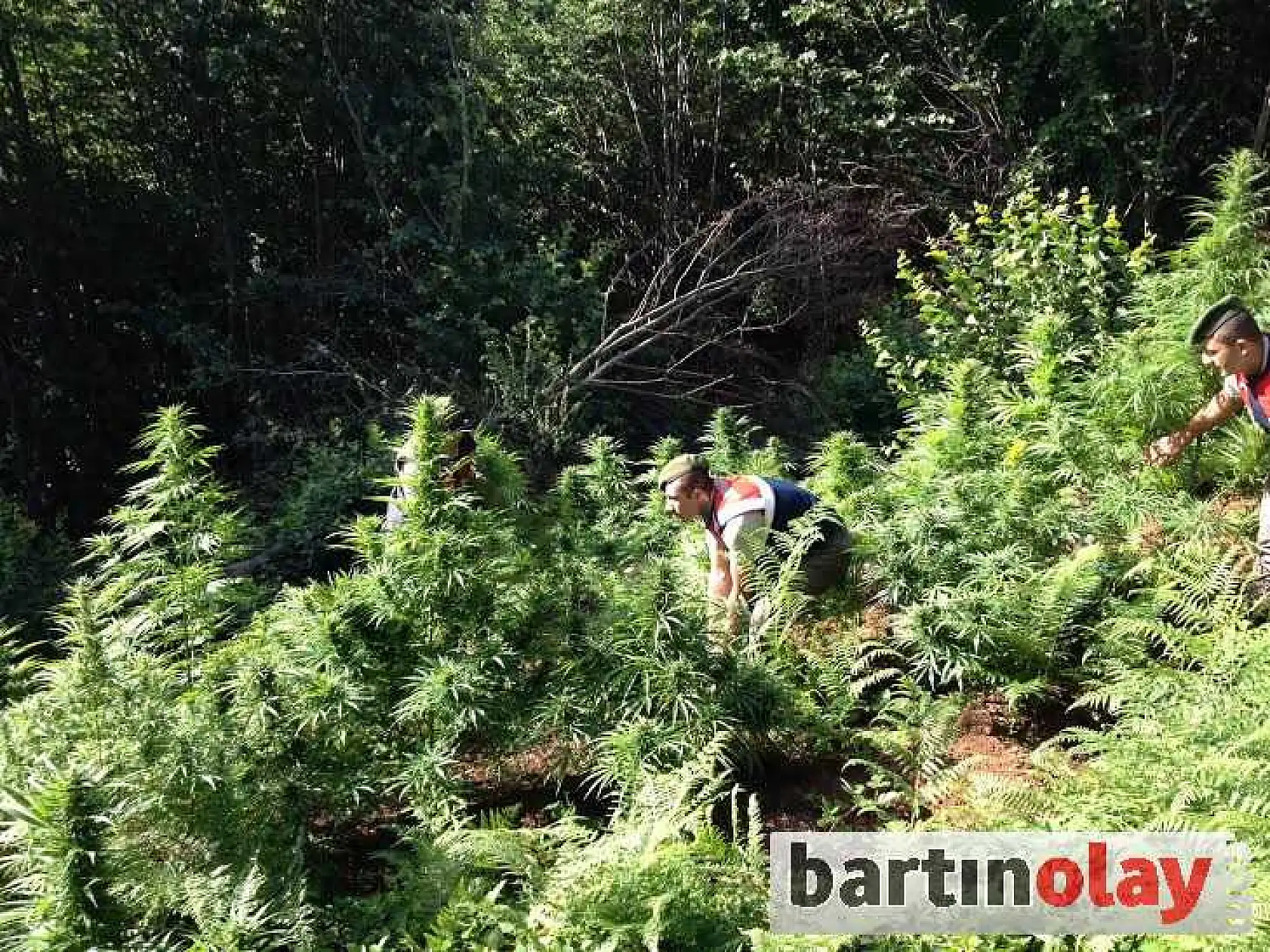 ULUS'TA UYUŞTURUCU OPERASYONU