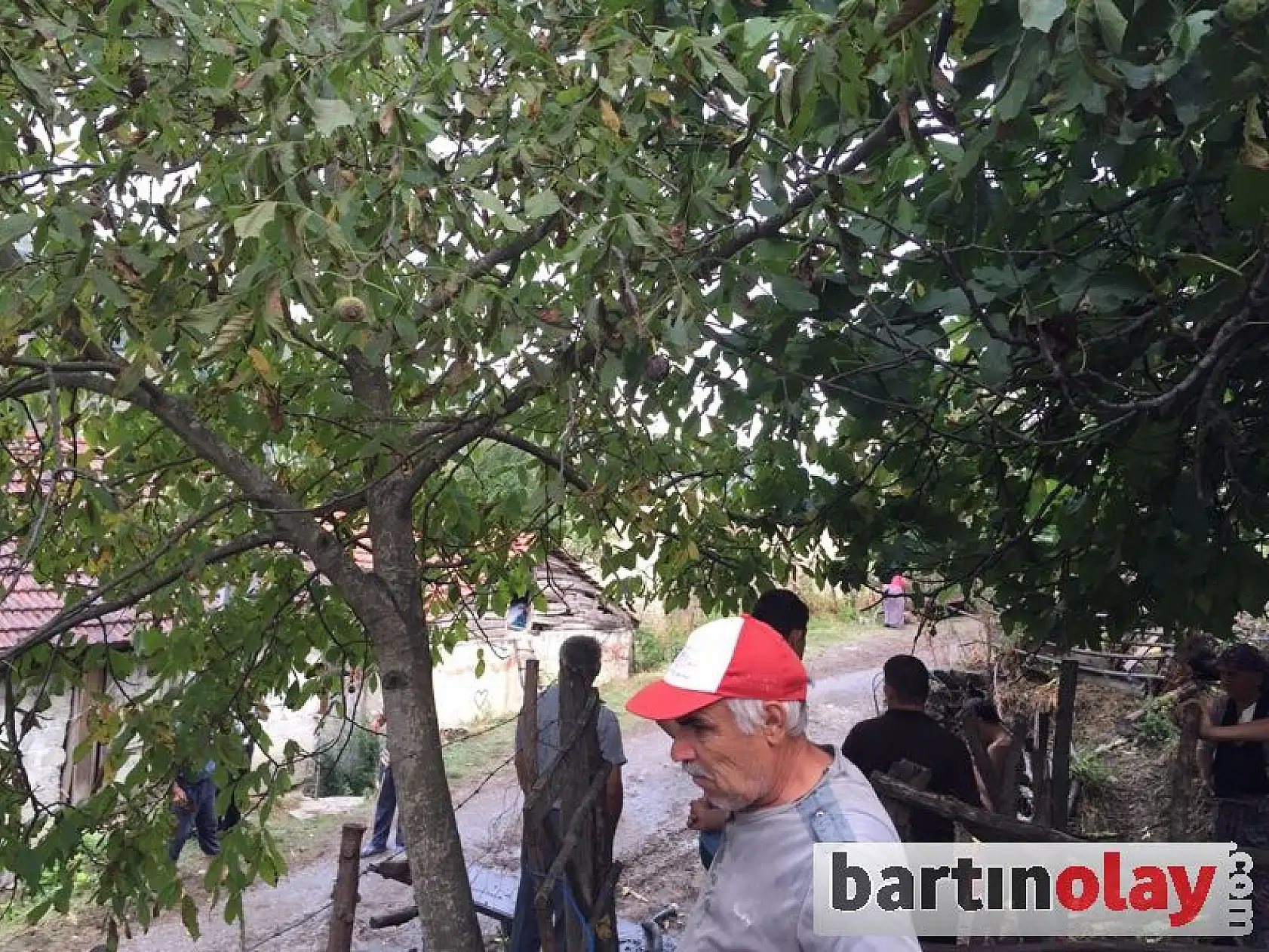 Ahır yangınında 6 hayvan telef oldu