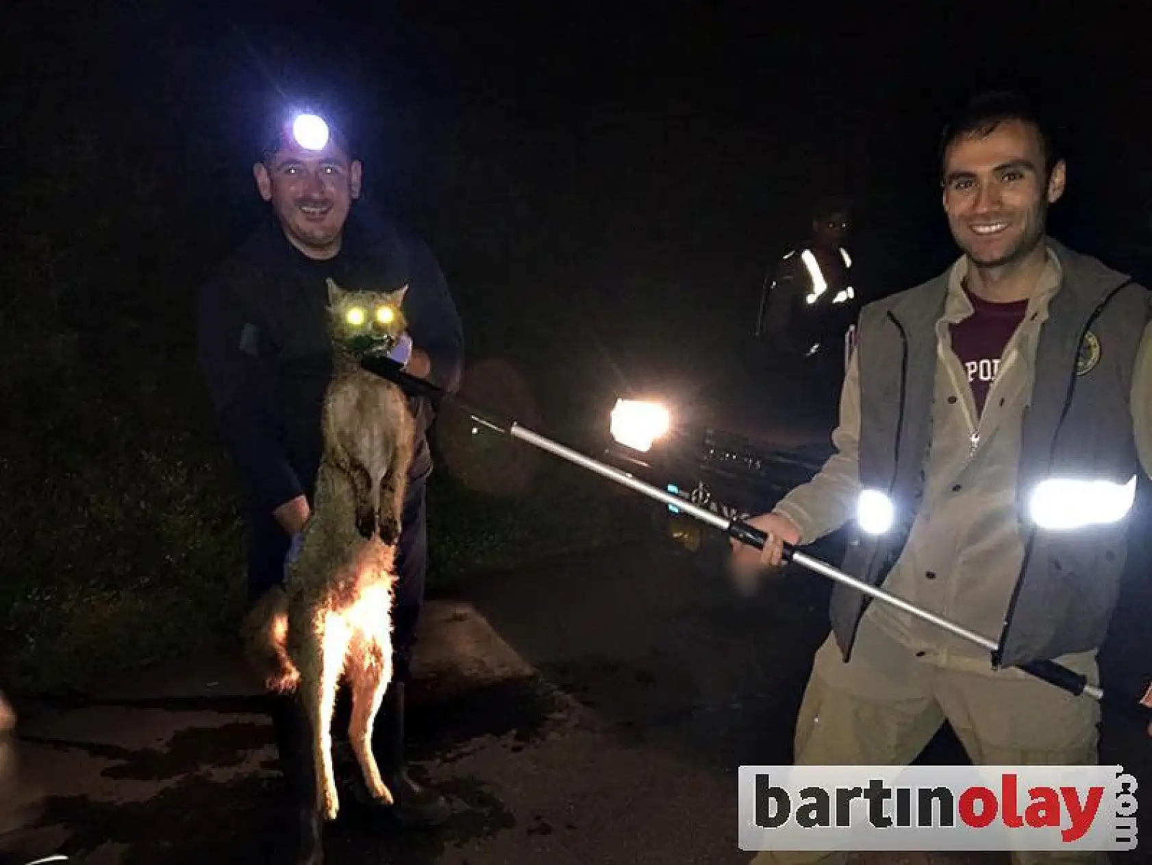 Tellere takılan tilki ölü taklidi yaptı