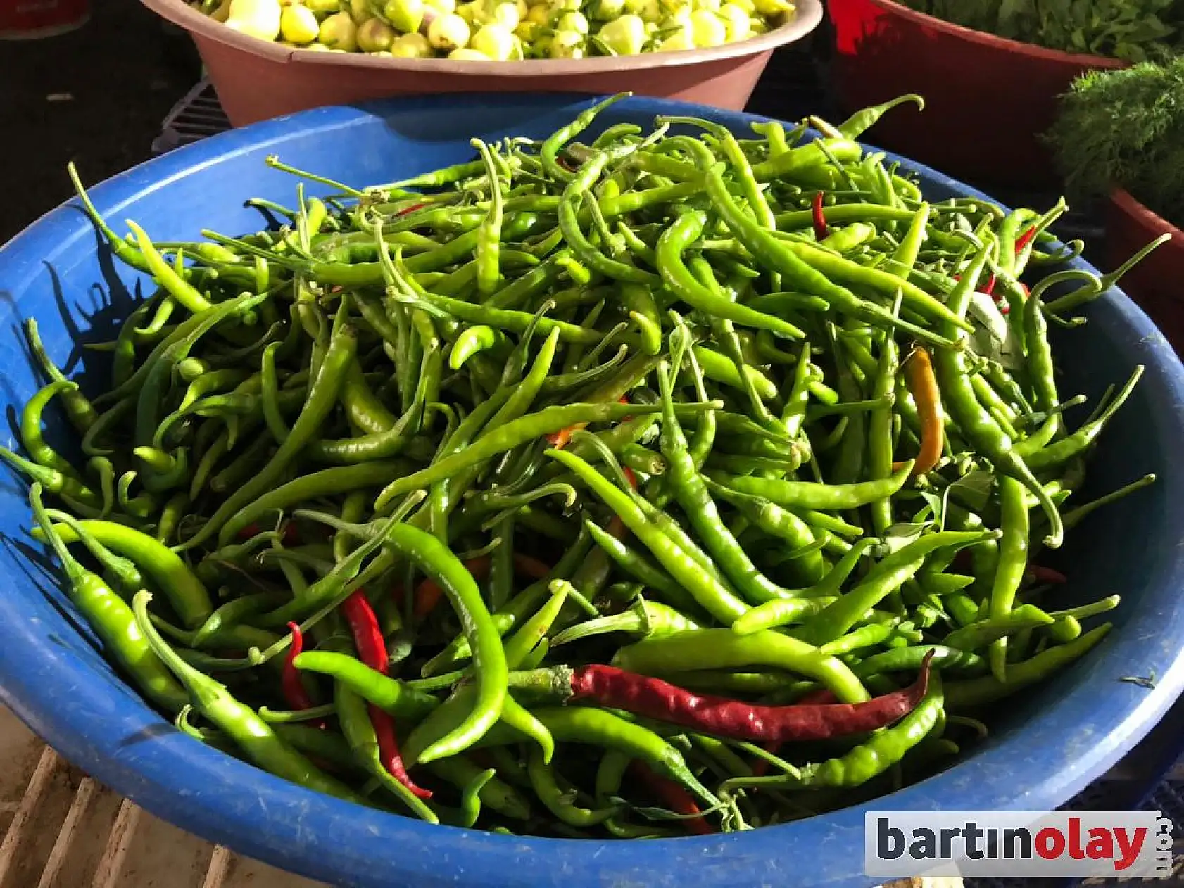 Pazar yerinde son durum