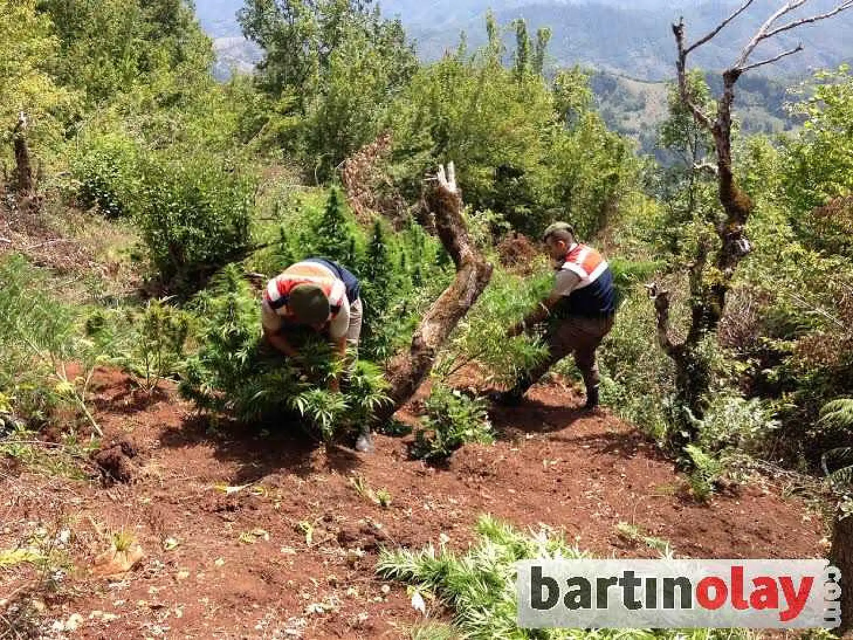 ULUS'TA UYUŞTURUCU OPERASYONU