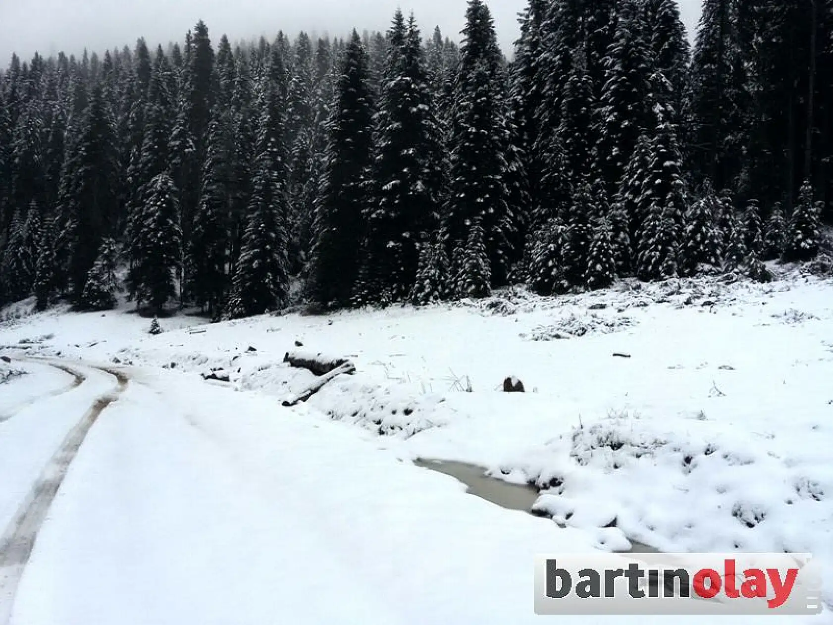 Bartın'da Yaylalara İlk Kar Yağdı