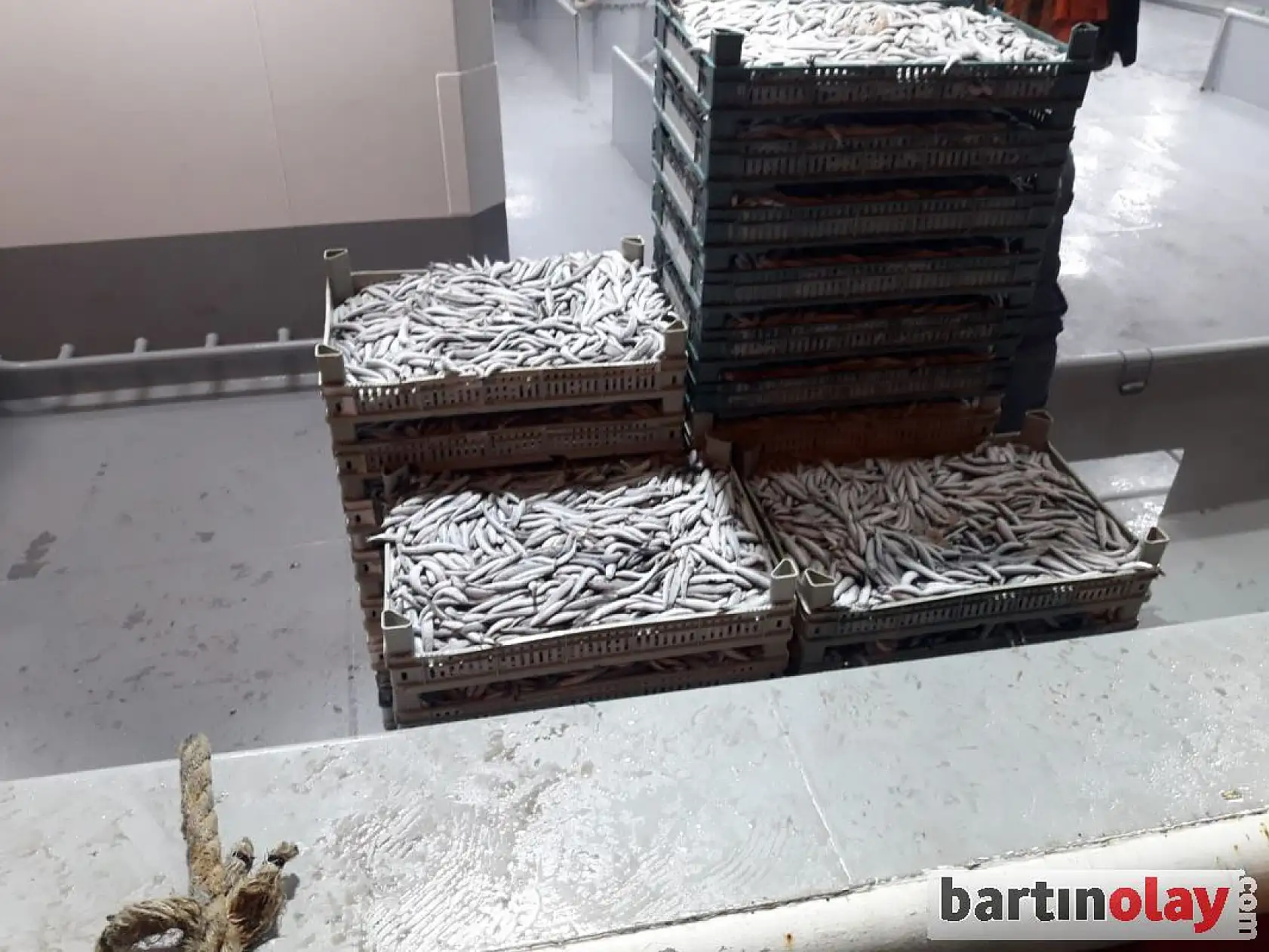 Amasra limanı teknelerle doldu